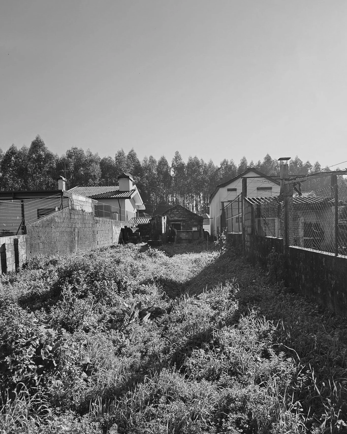 05.jpg