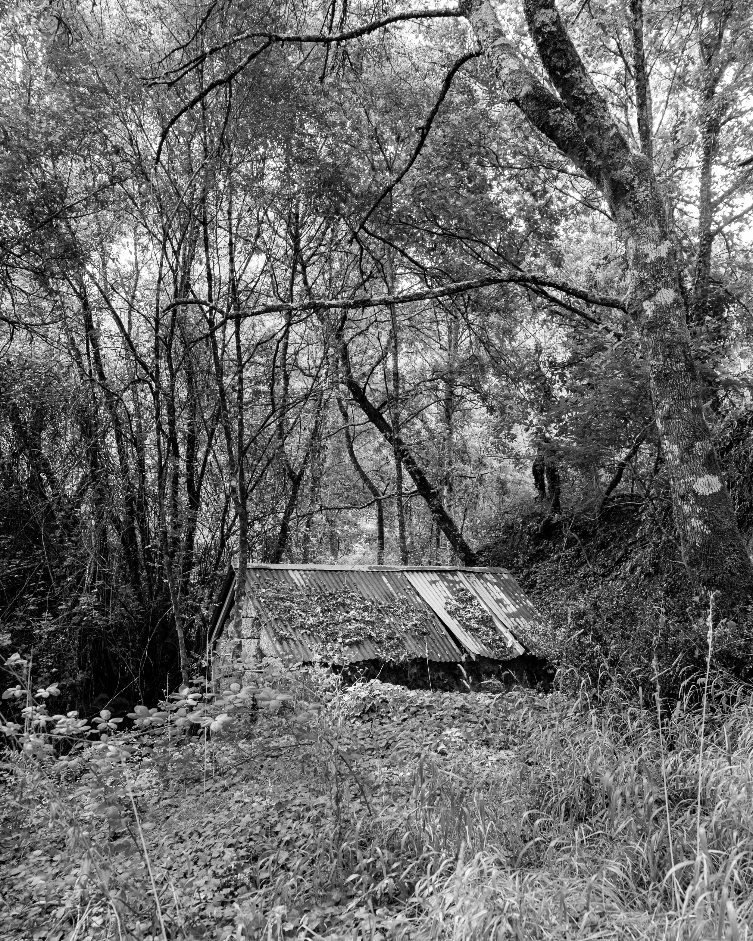 DSCF6557.jpg