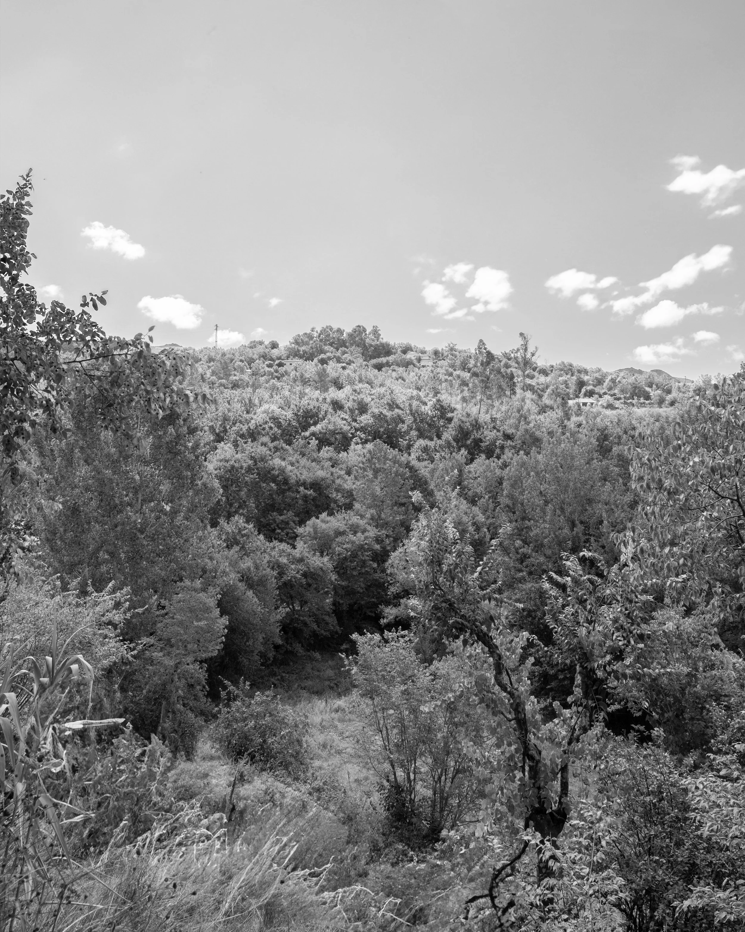 DSCF6624.jpg