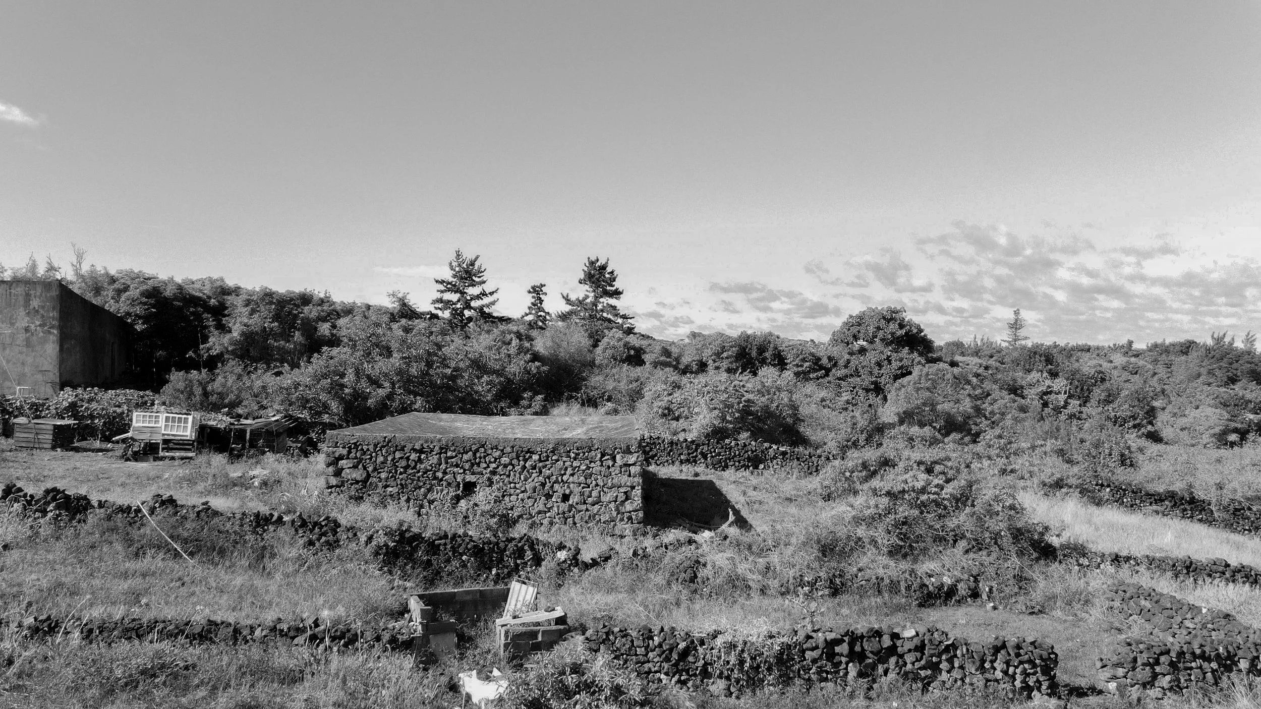 04.jpg