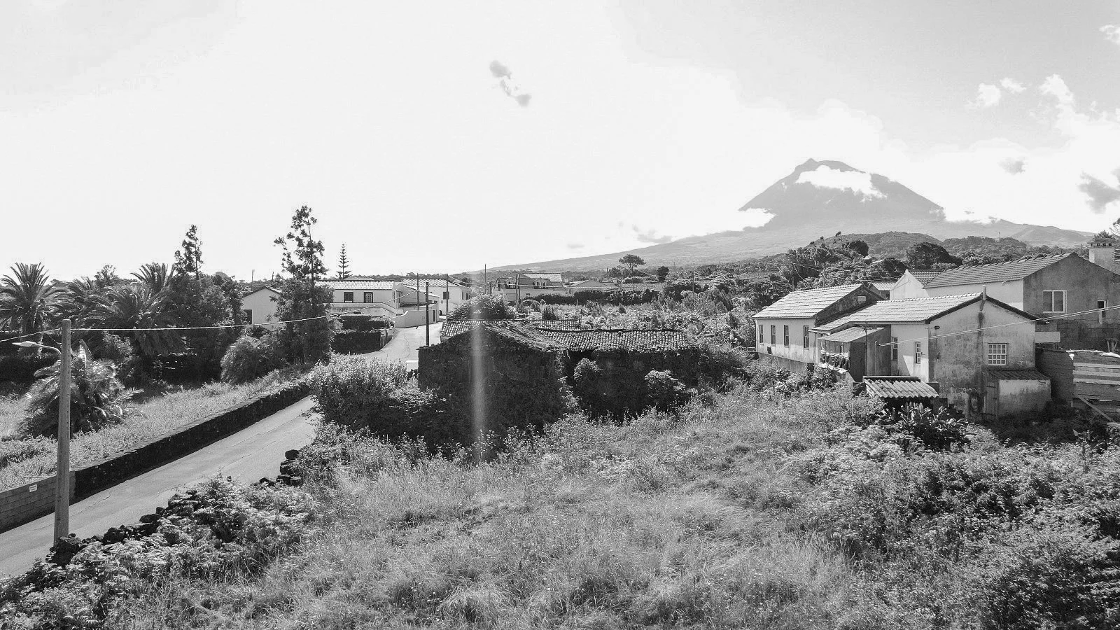 05.jpg