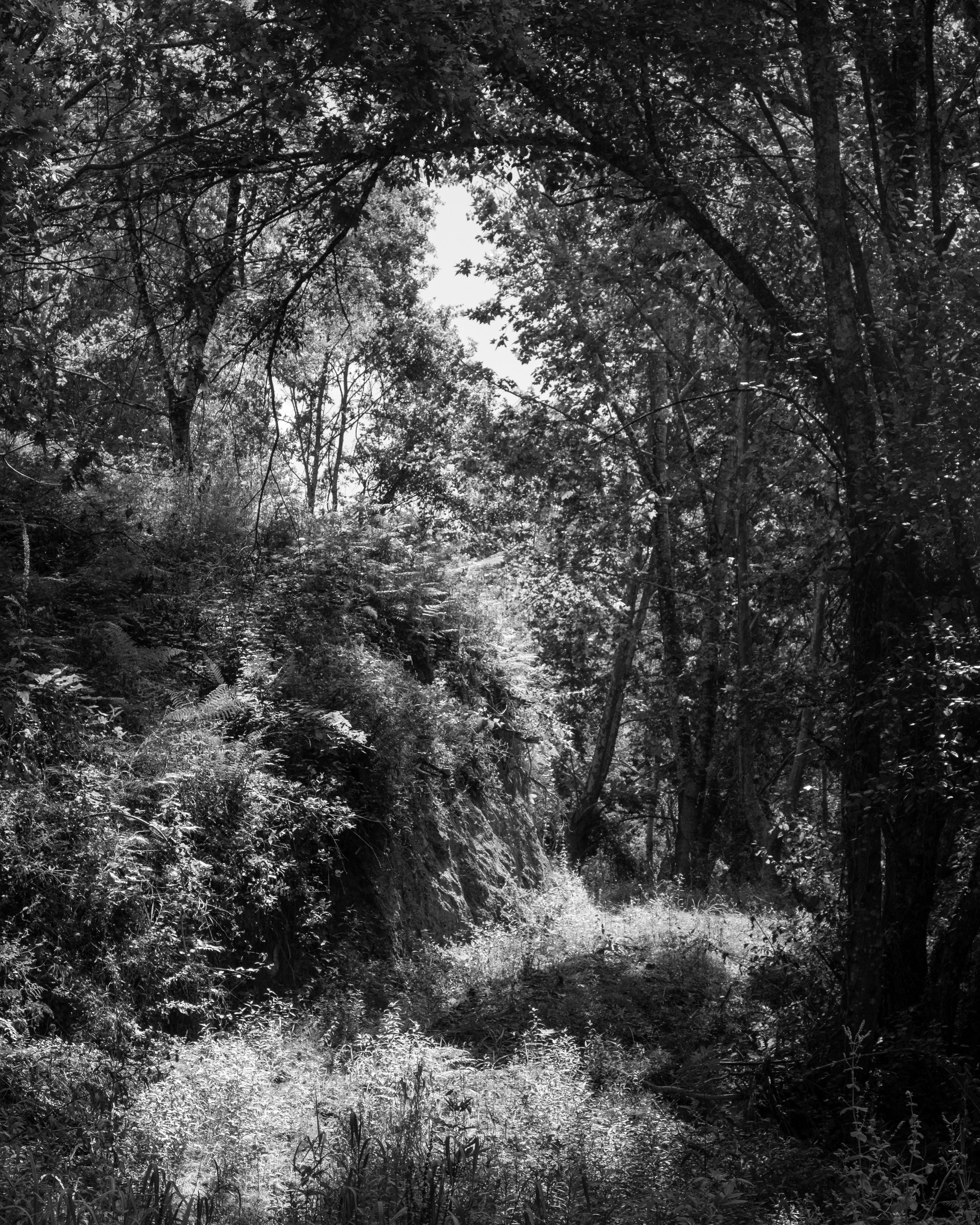 DSCF6630.jpg