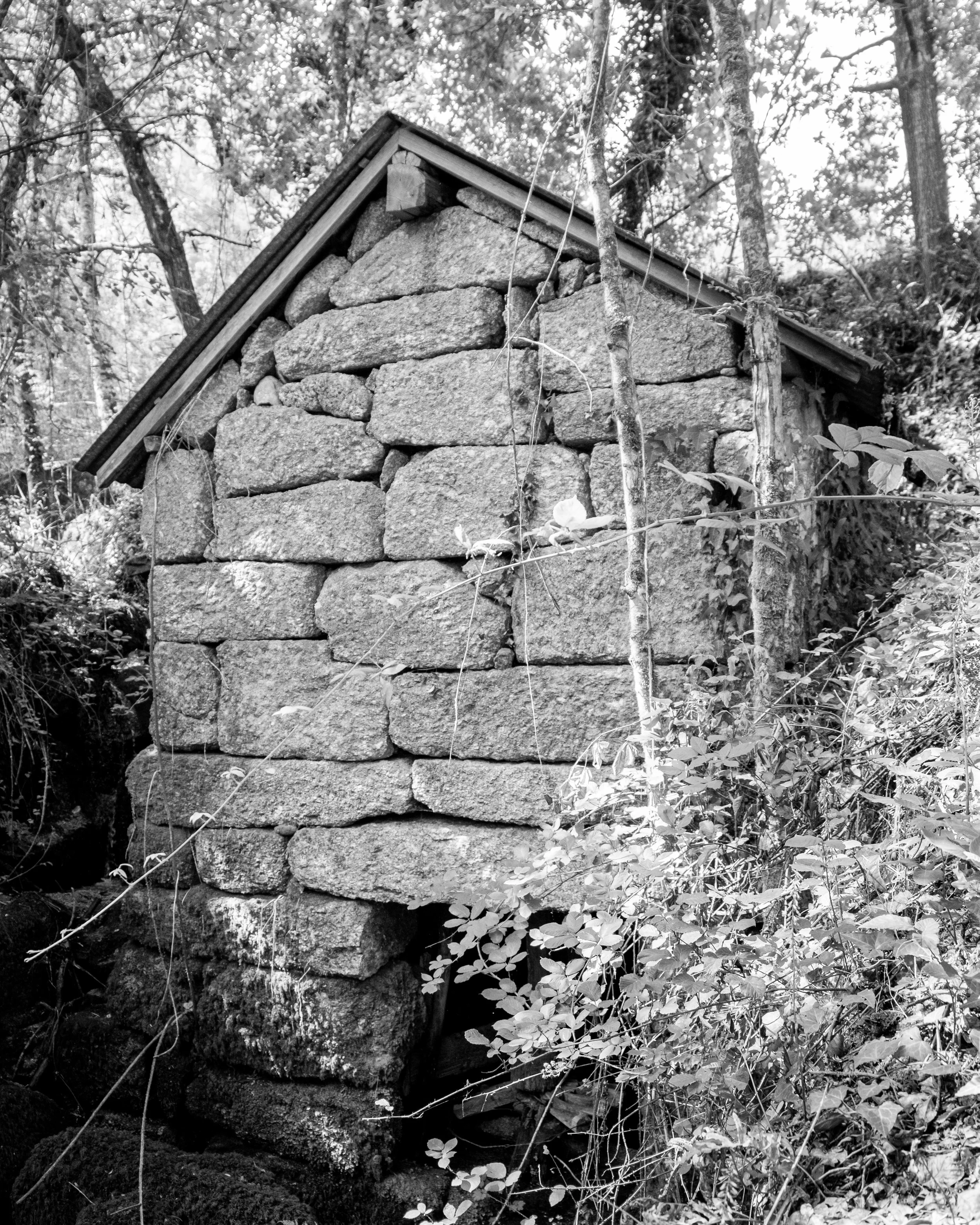 DSCF6559.jpg