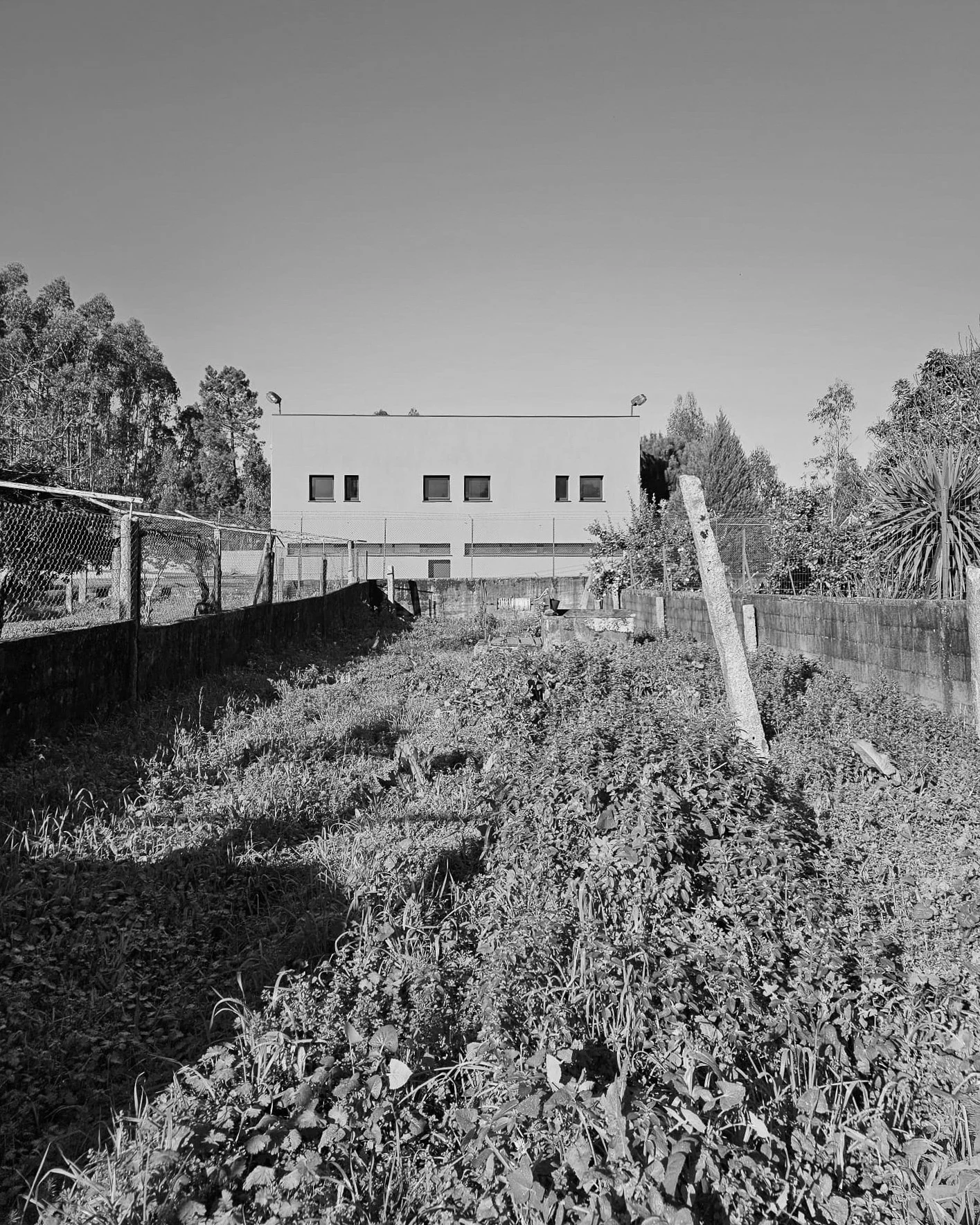 04.jpg