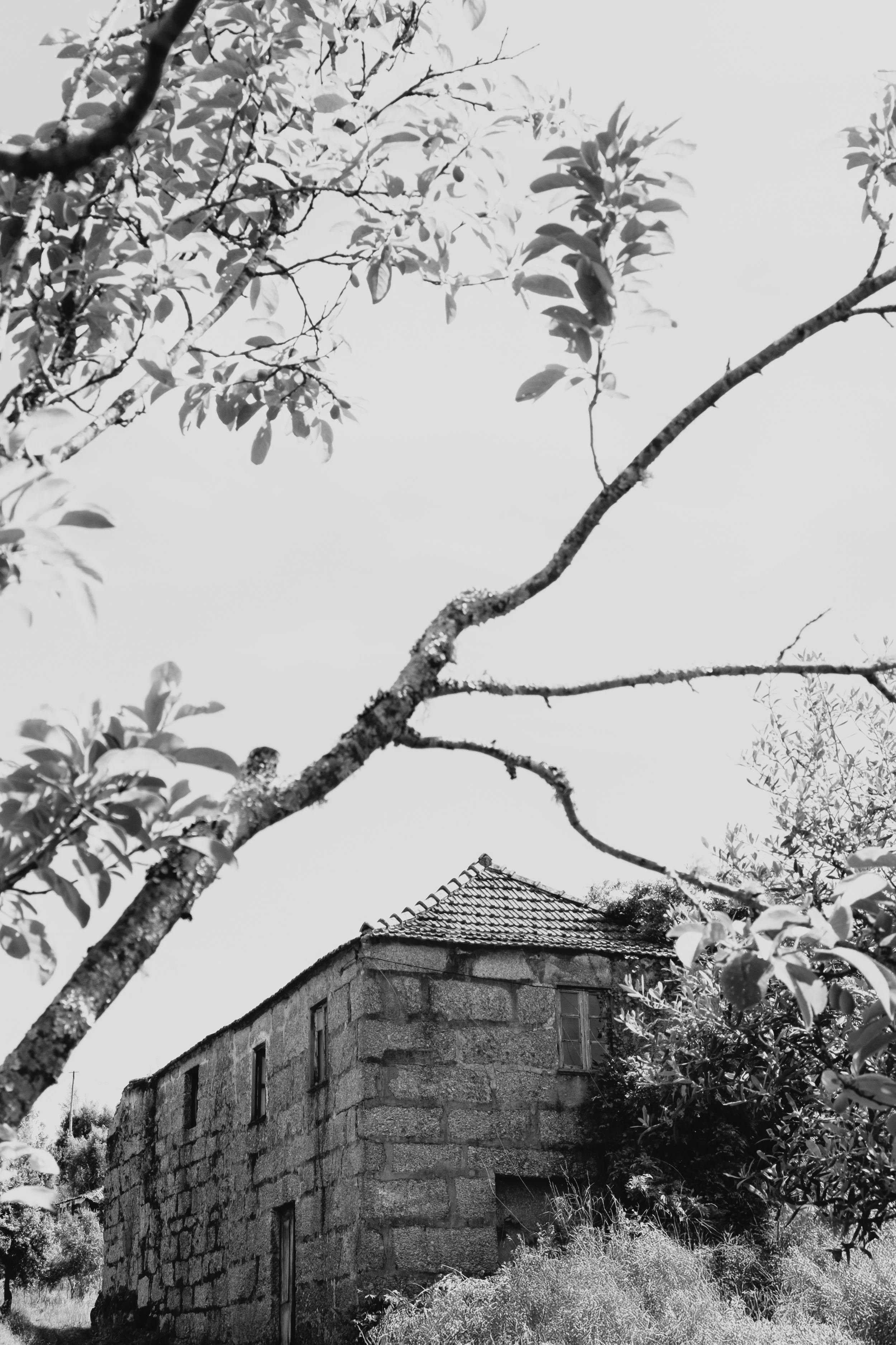 DSCF3674-Edit.jpg