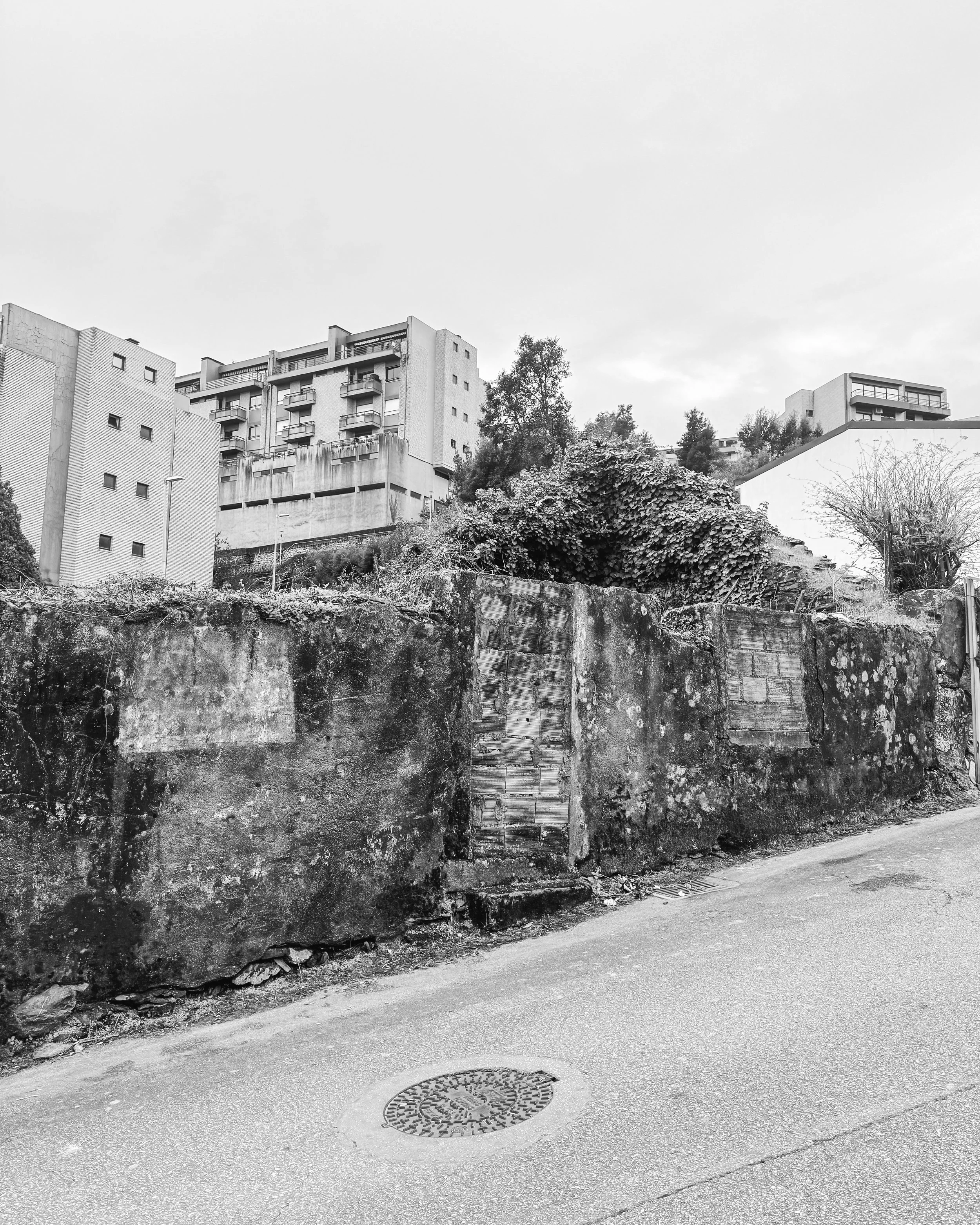 05.jpg