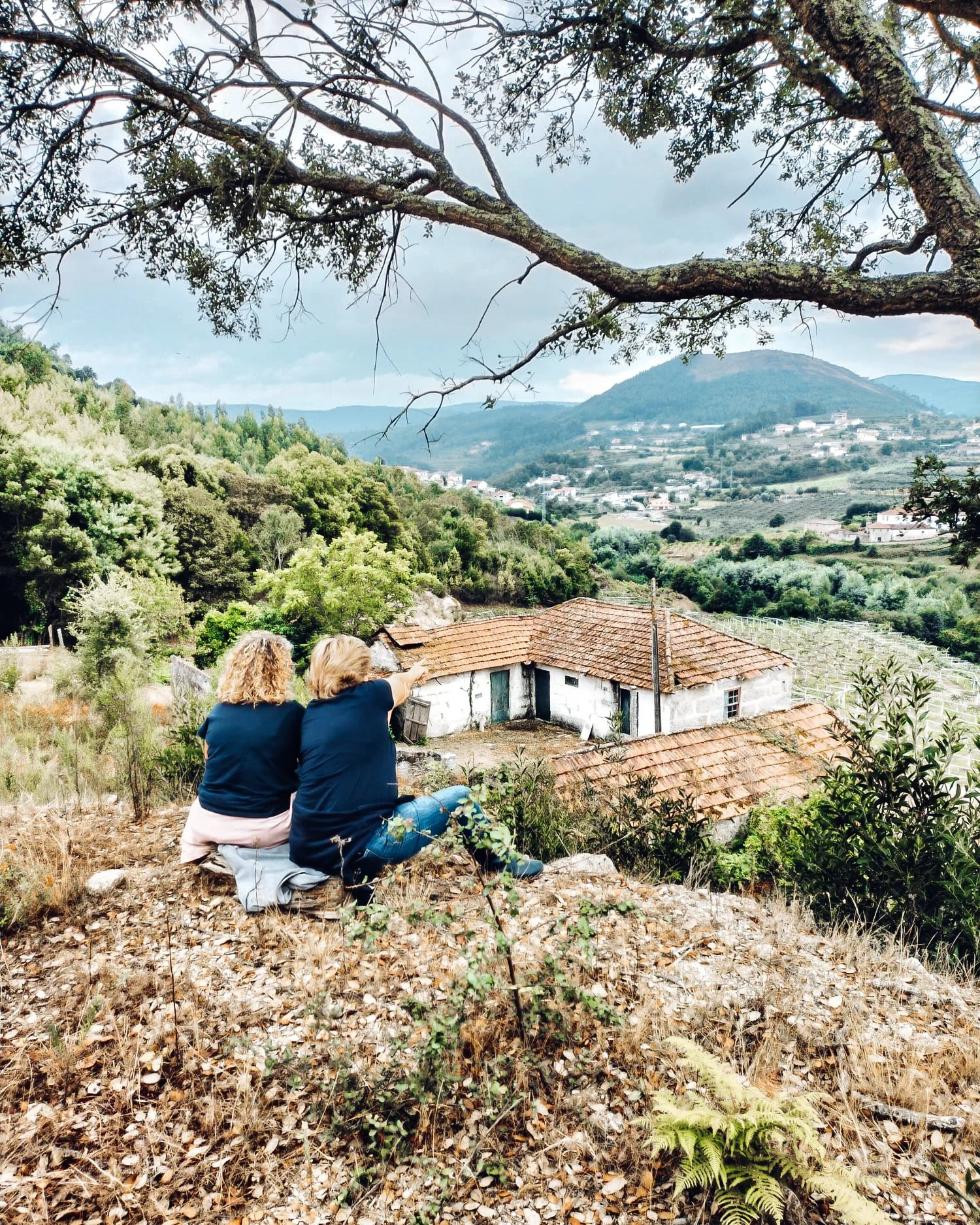 Imagem WhatsApp 2024-10-04 às 11.59.33_0aa0c343.jpg