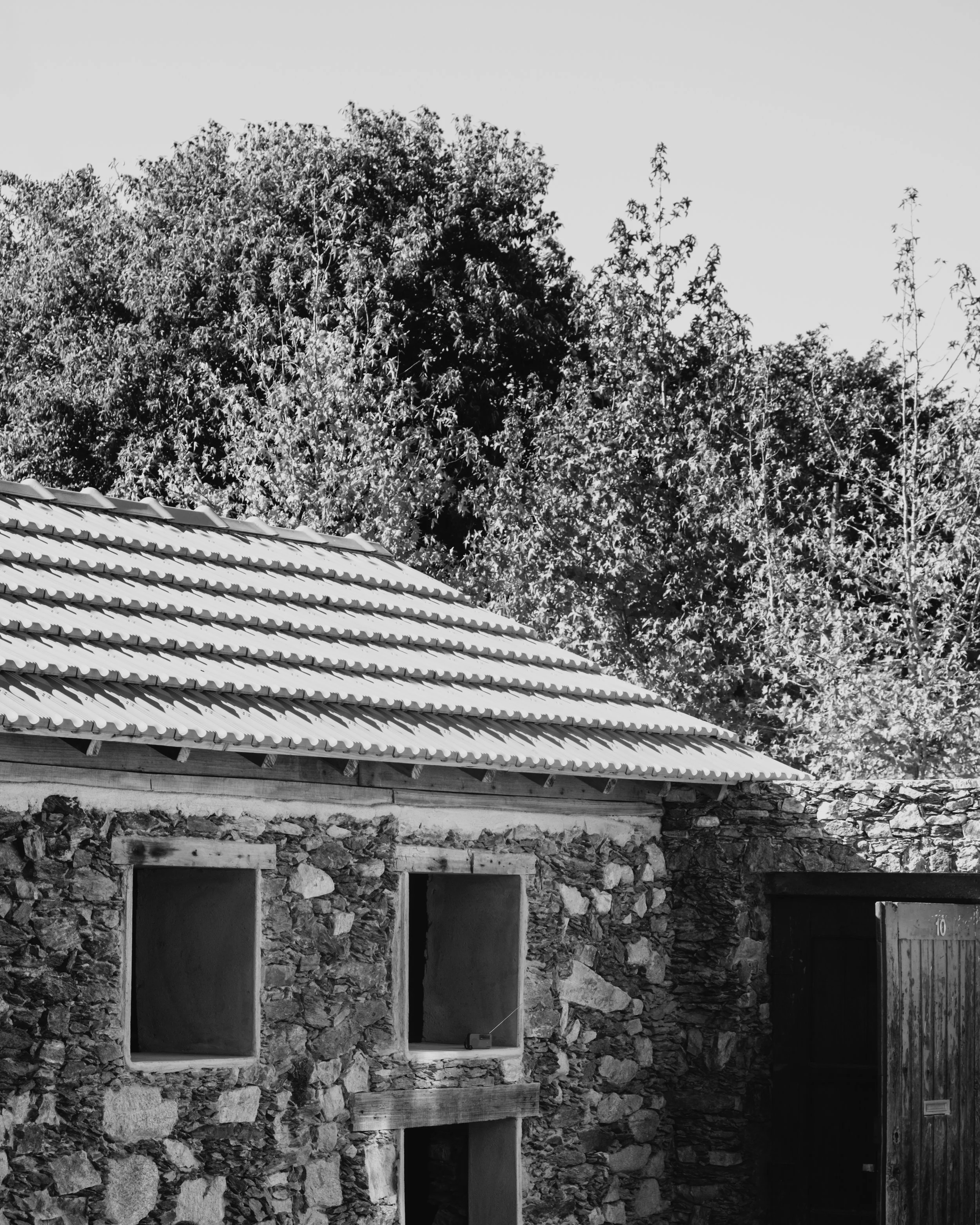 DSCF6737.jpg