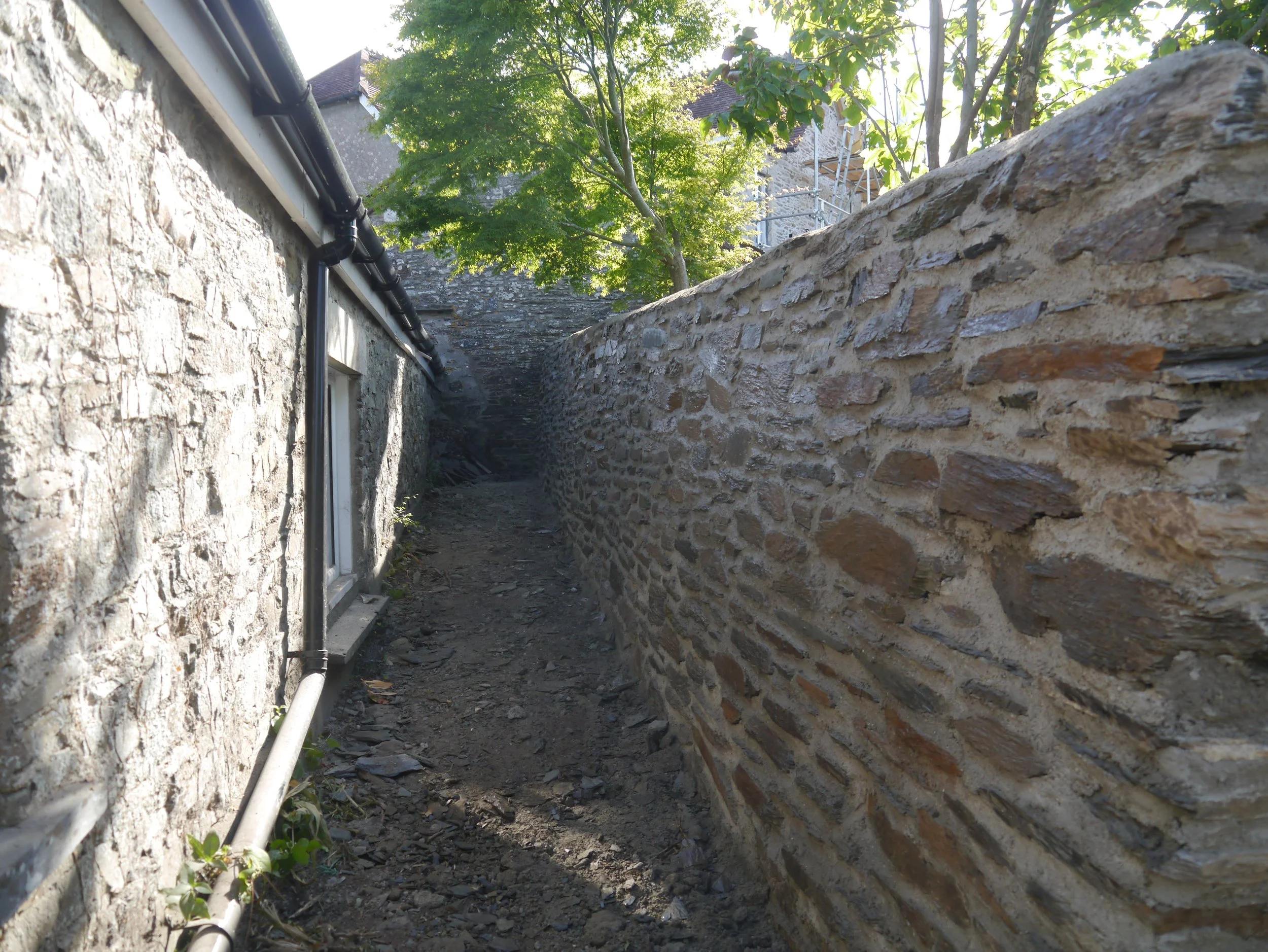 P1050336.JPG