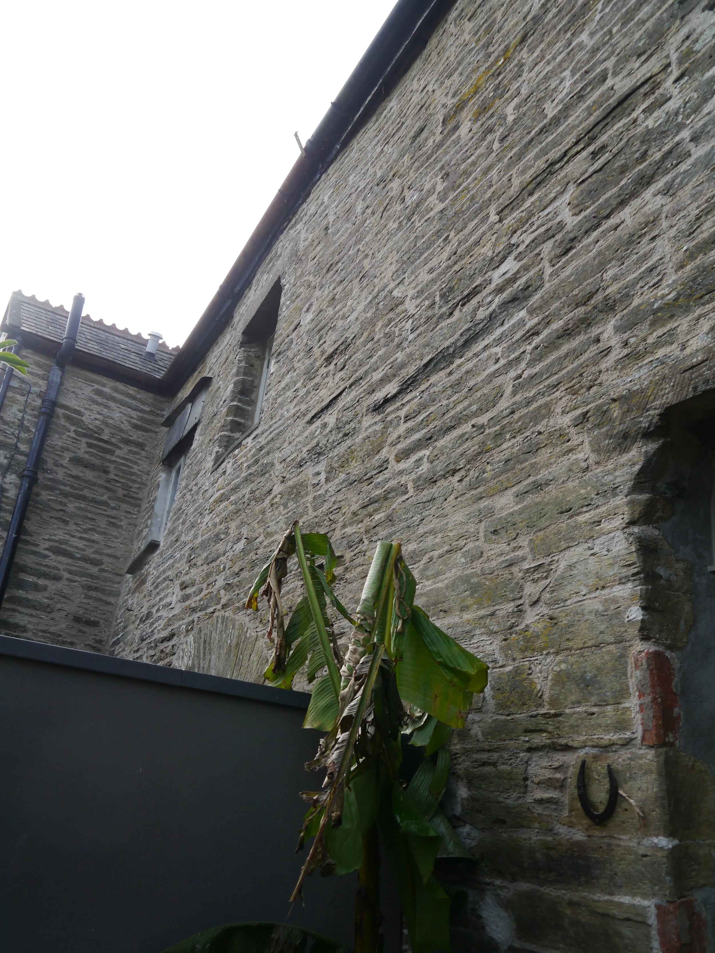 P1050154.JPG