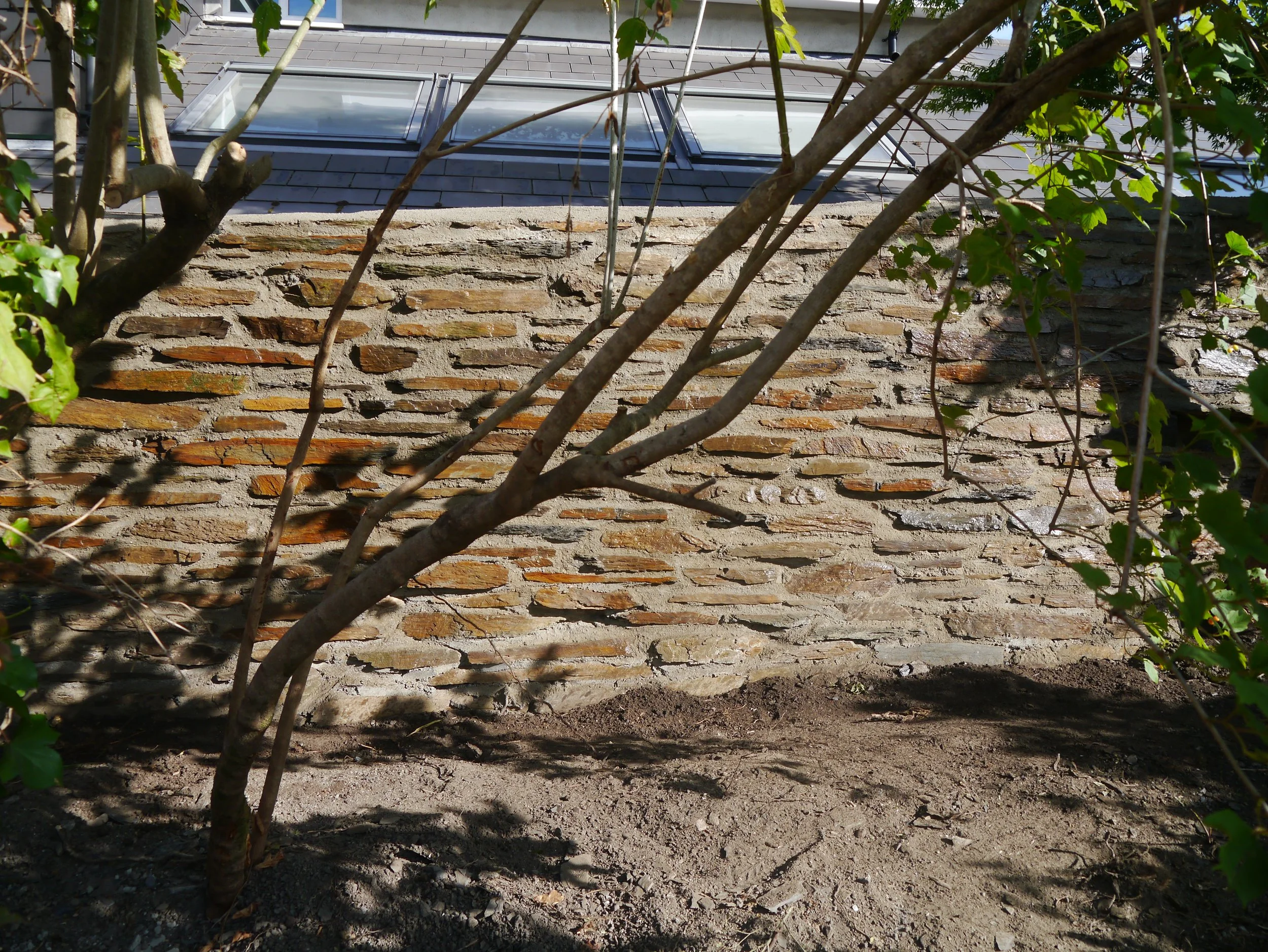 P1050331.JPG