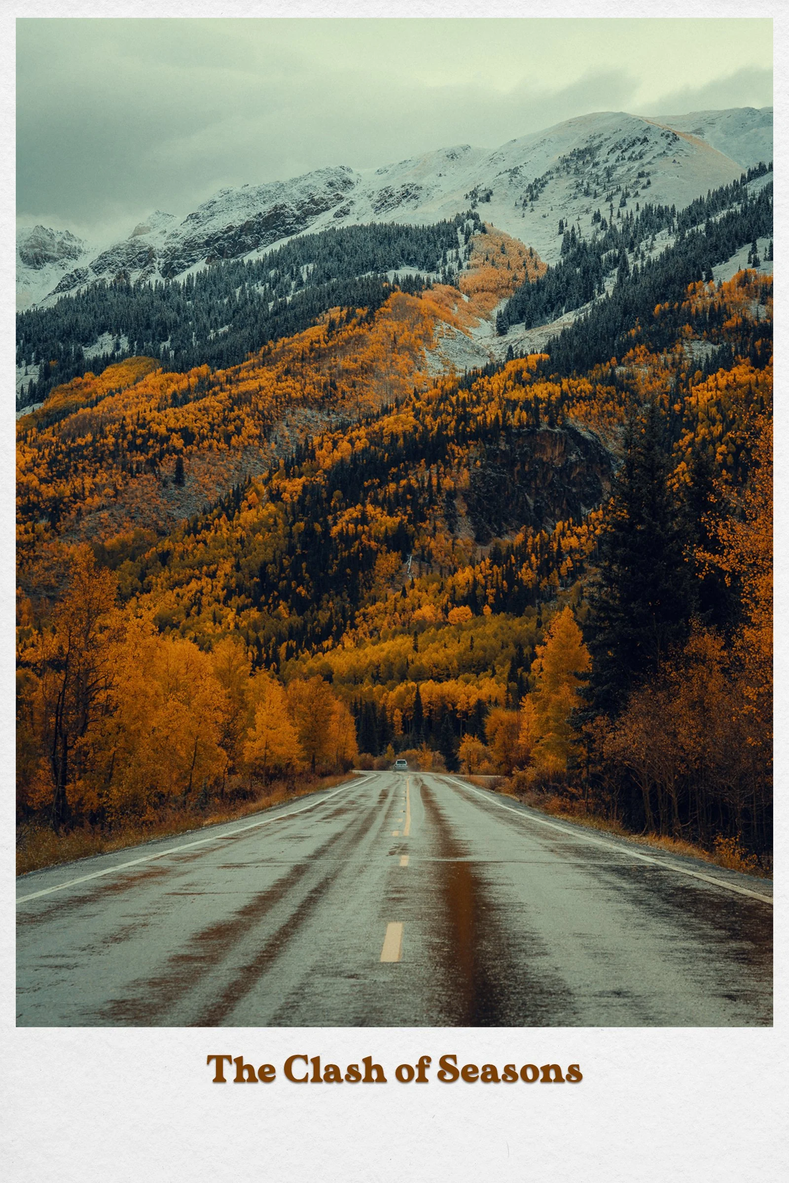 Postcard2.jpg