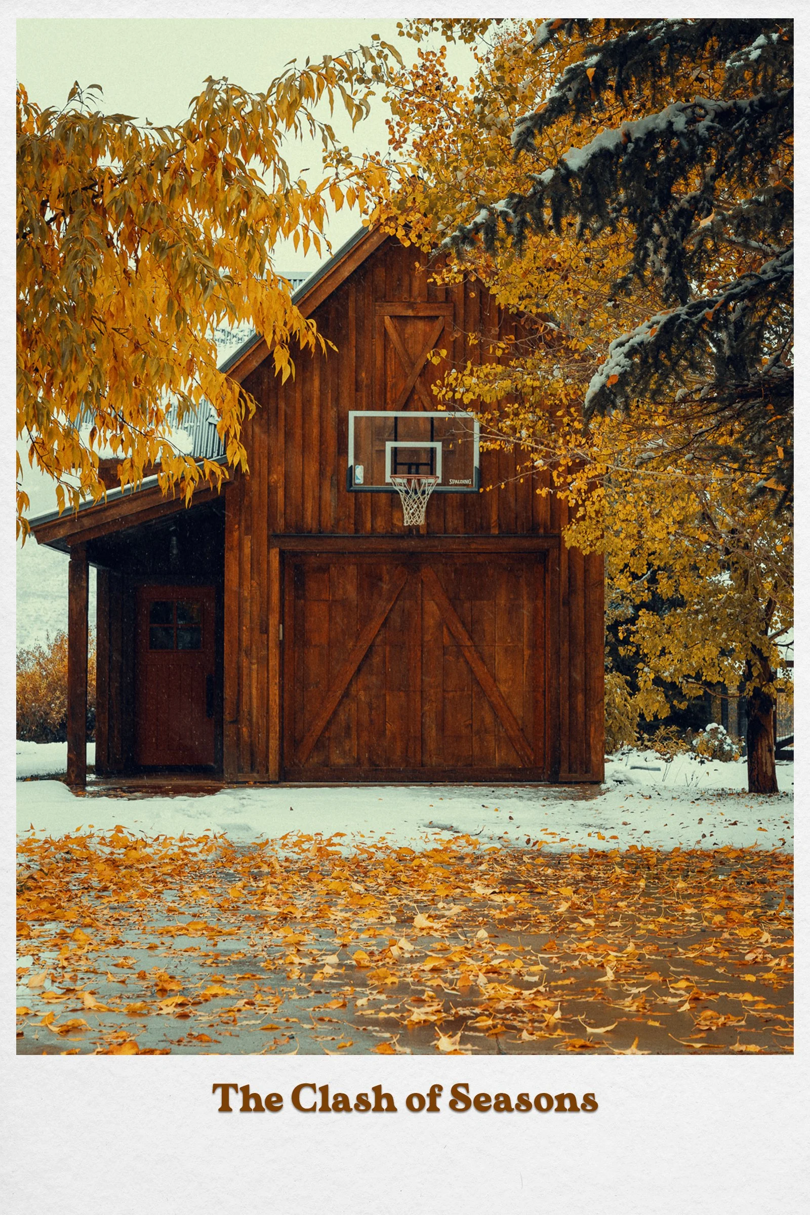 Postcard11.jpg