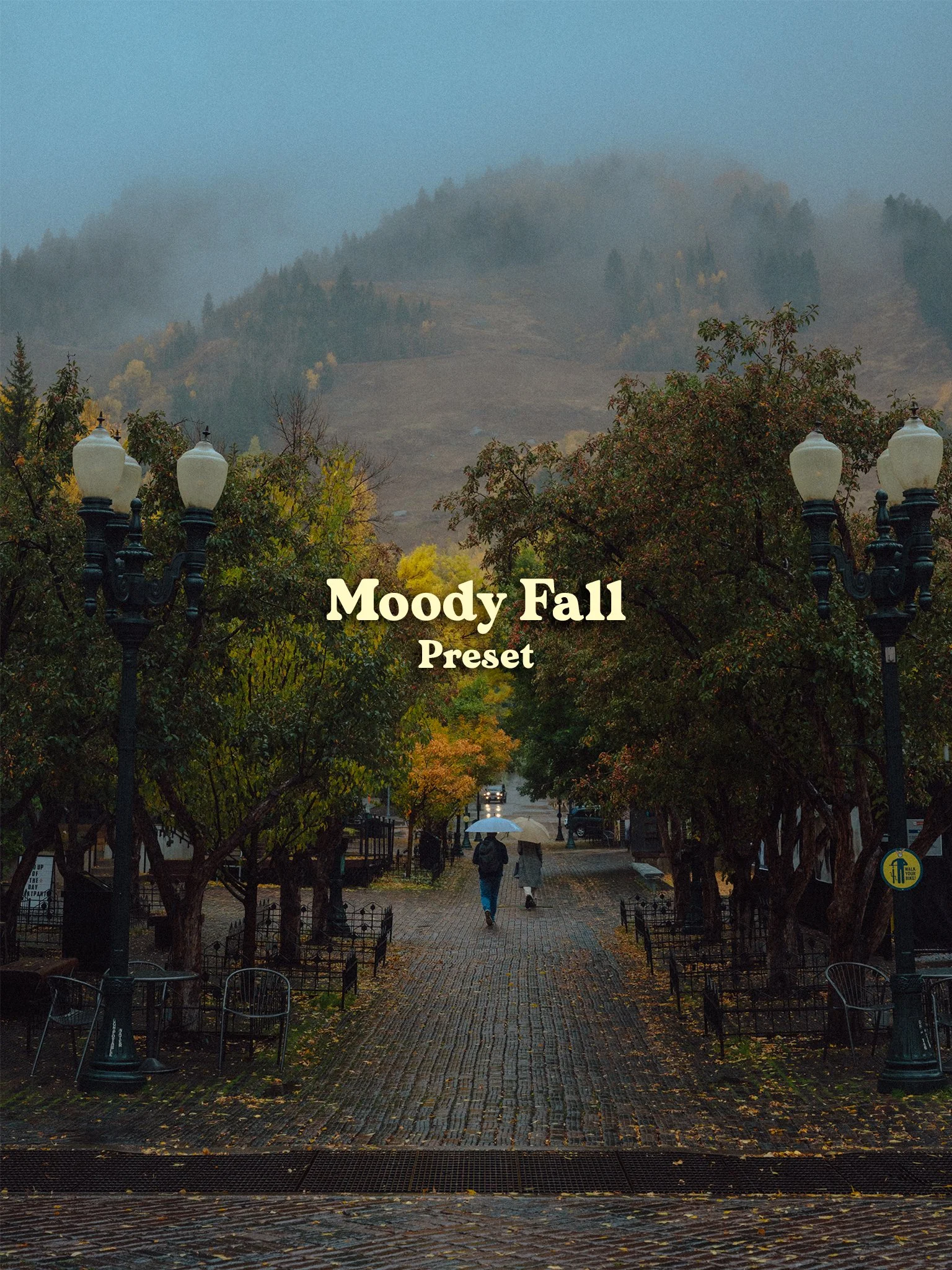 Preset_MoodyFall.jpg