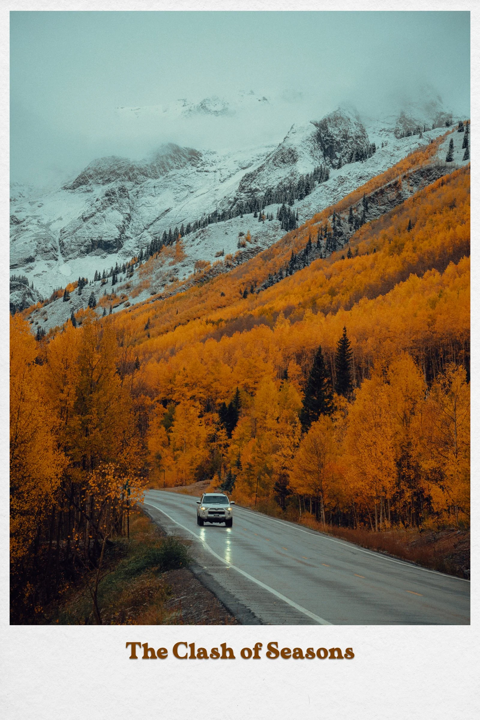 Postcard1.jpg