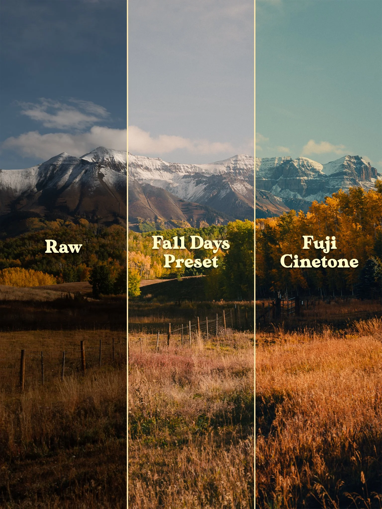 Cinetone_Fuji_Preset_Raw2.jpg