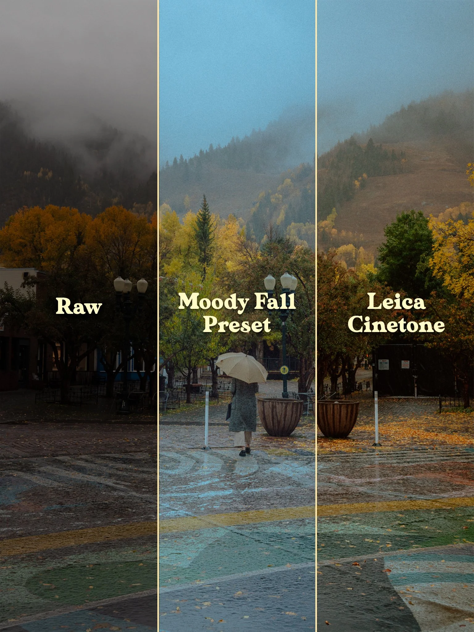 Cinetone_Leica_FallBandA.jpg