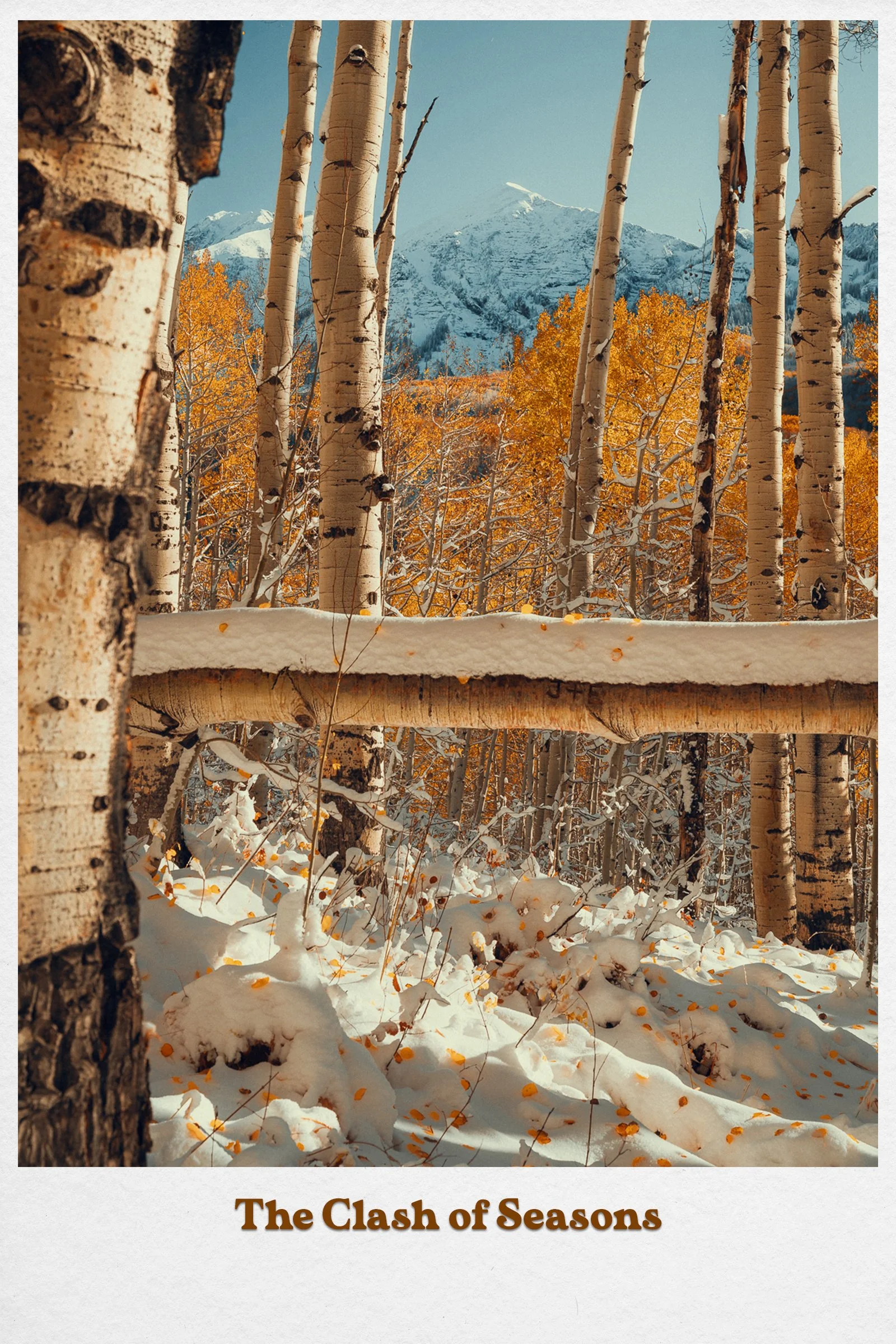 Postcard3.jpg