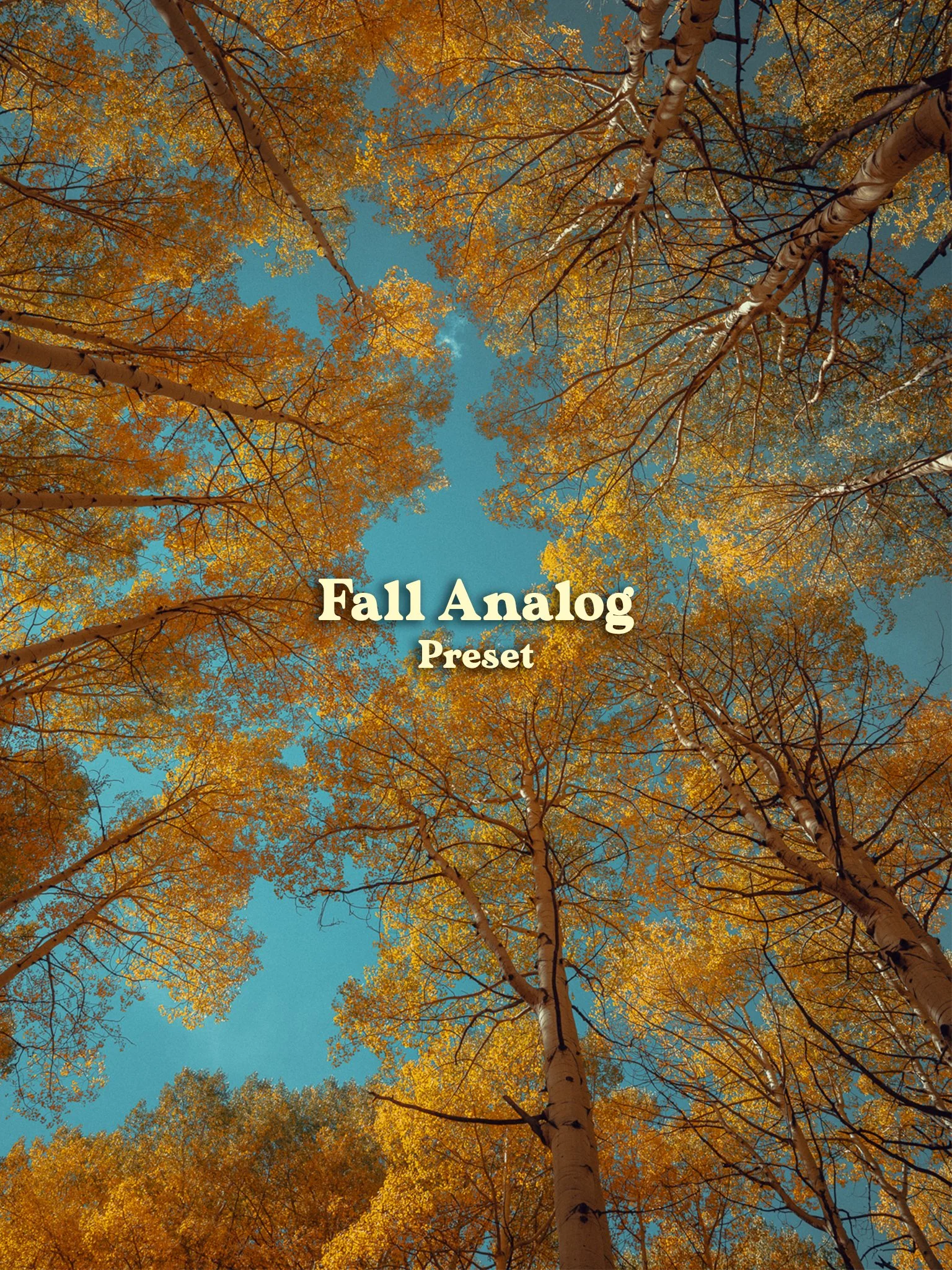Preset_FallAnalog.jpg