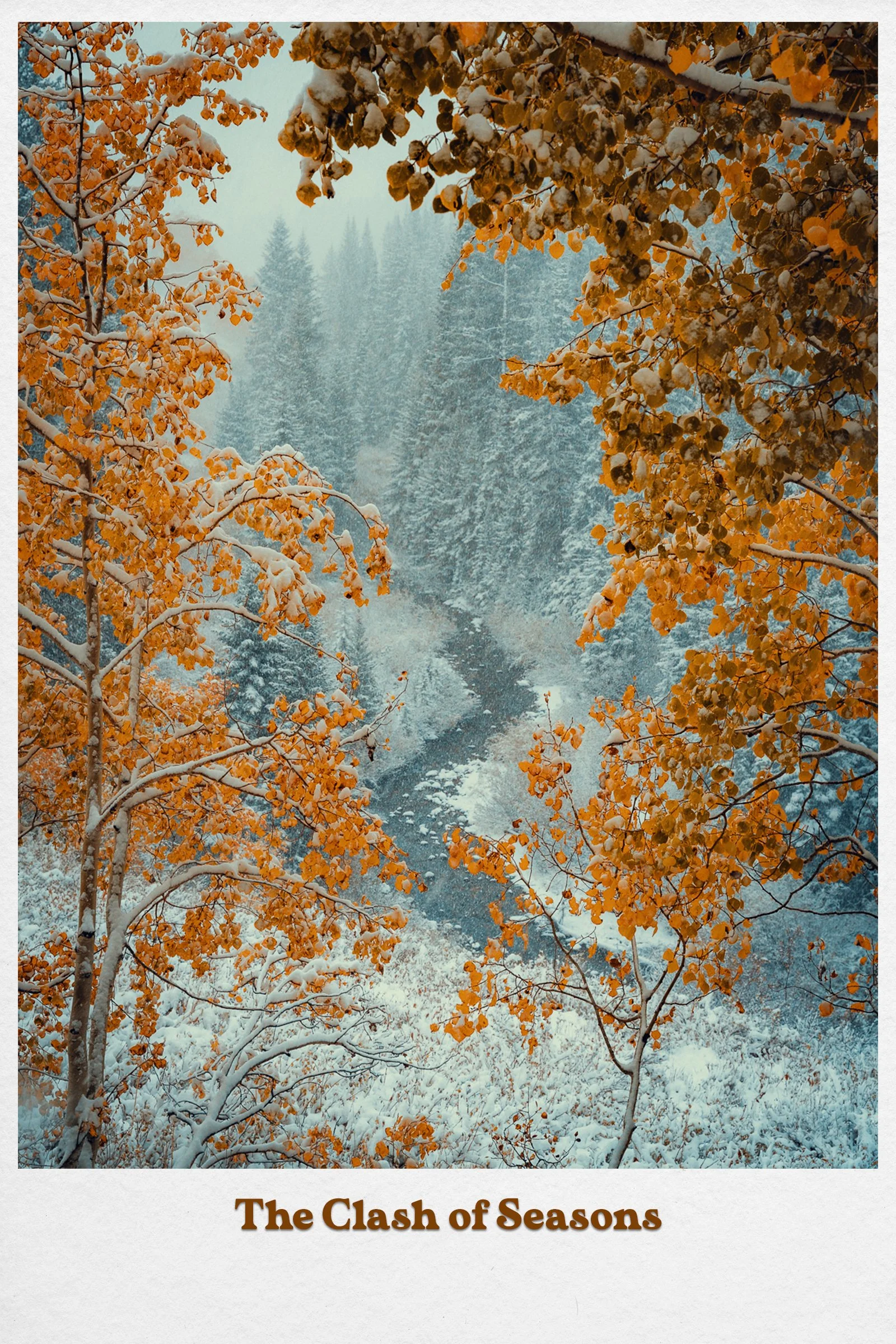Postcard15.jpg