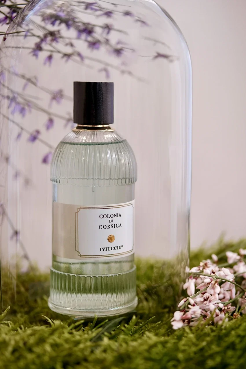 Bouteille de parfum ou d'huile essentielle intitulée "Colonia di Corsica Ivucciù" dans un contenant en verre, entourée de verdure et de fleurs, sous une cloche en verre.