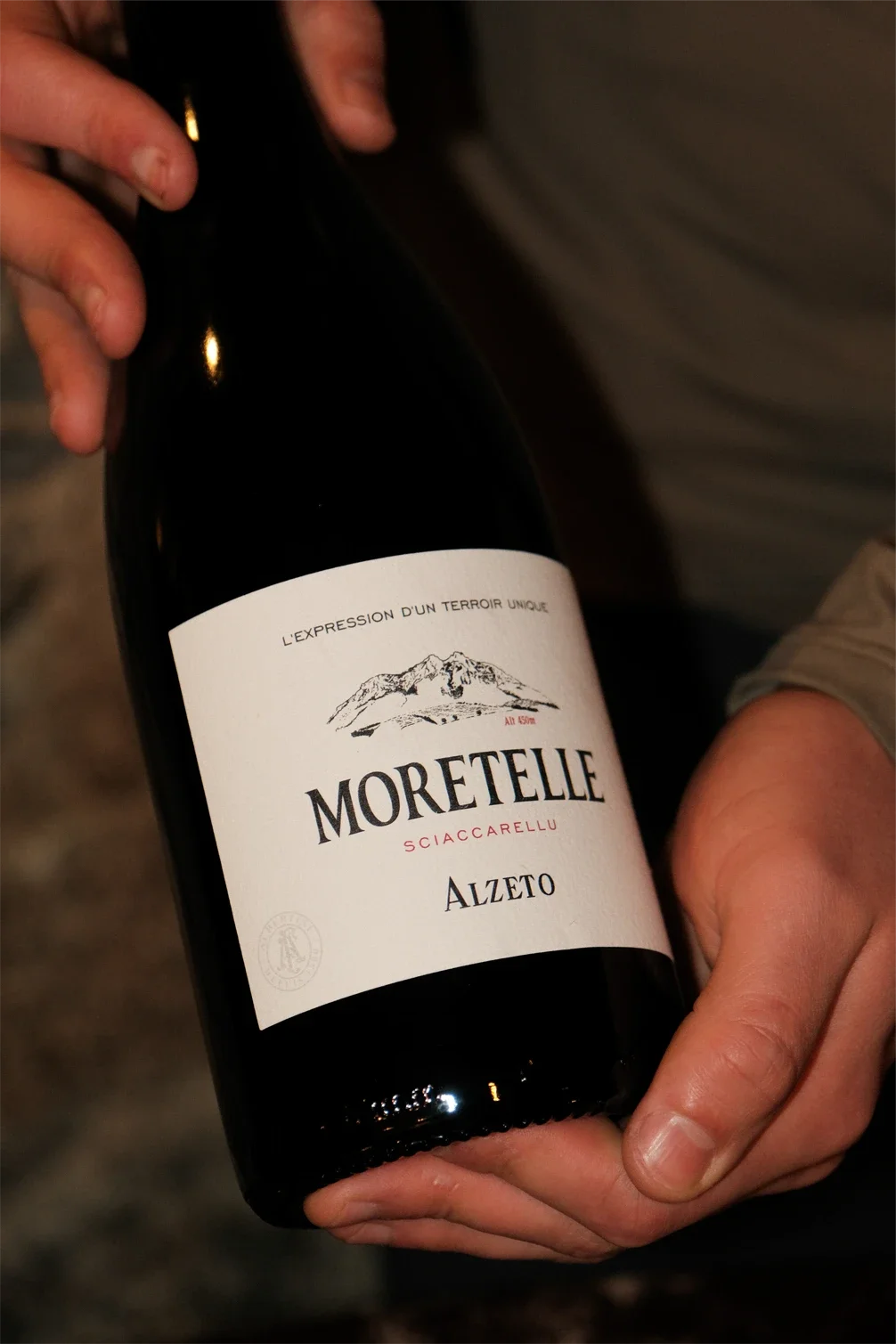 Une personne tient une bouteille de vin noir avec une étiquette blanche portant le nom 'Moretelle' et 'Alzetto', avec une illustration d'une montagne.
