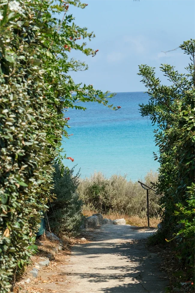 Lancement de média sociaux, stratégie de communication, shooting photo et montage vidéo Réel Instagram, pour la gestion et le développement des réseaux sociaux d'un hotel en Corse, par ZACE - Agence de communication digitale à Corte, en Corse.