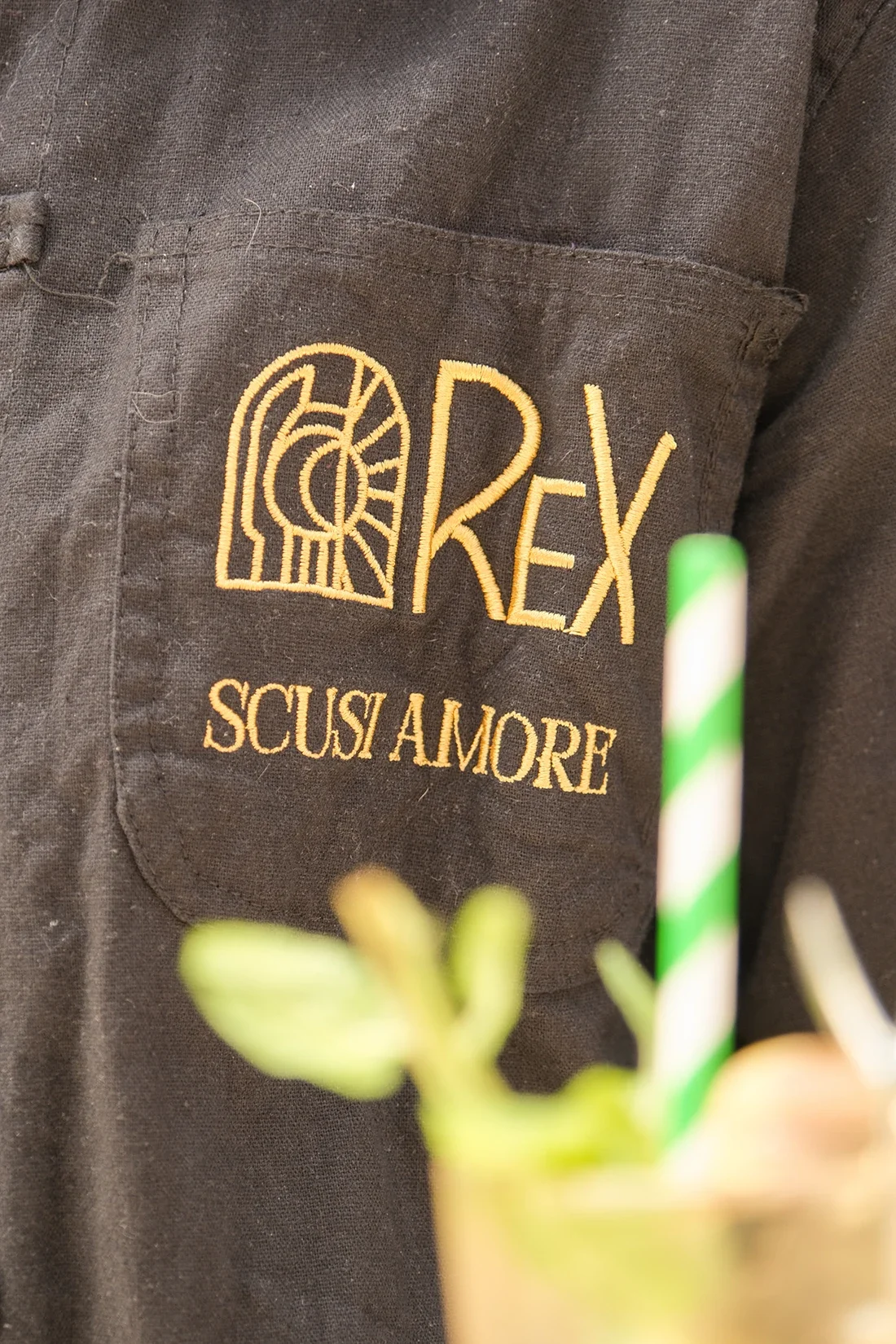 Veste en coton marron avec un logo brodé en jaune, comprenant une représentation stylisée et le texte 'REX' et 'SOUIS AMORE'.