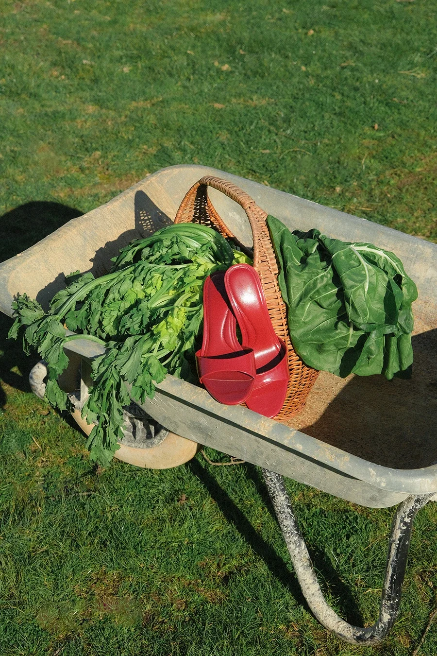 Un cerclier avec des légumes verts, une paire de chaussures rouges, et un panier, posé dans une brouette en extérieur sur de l'herbe.