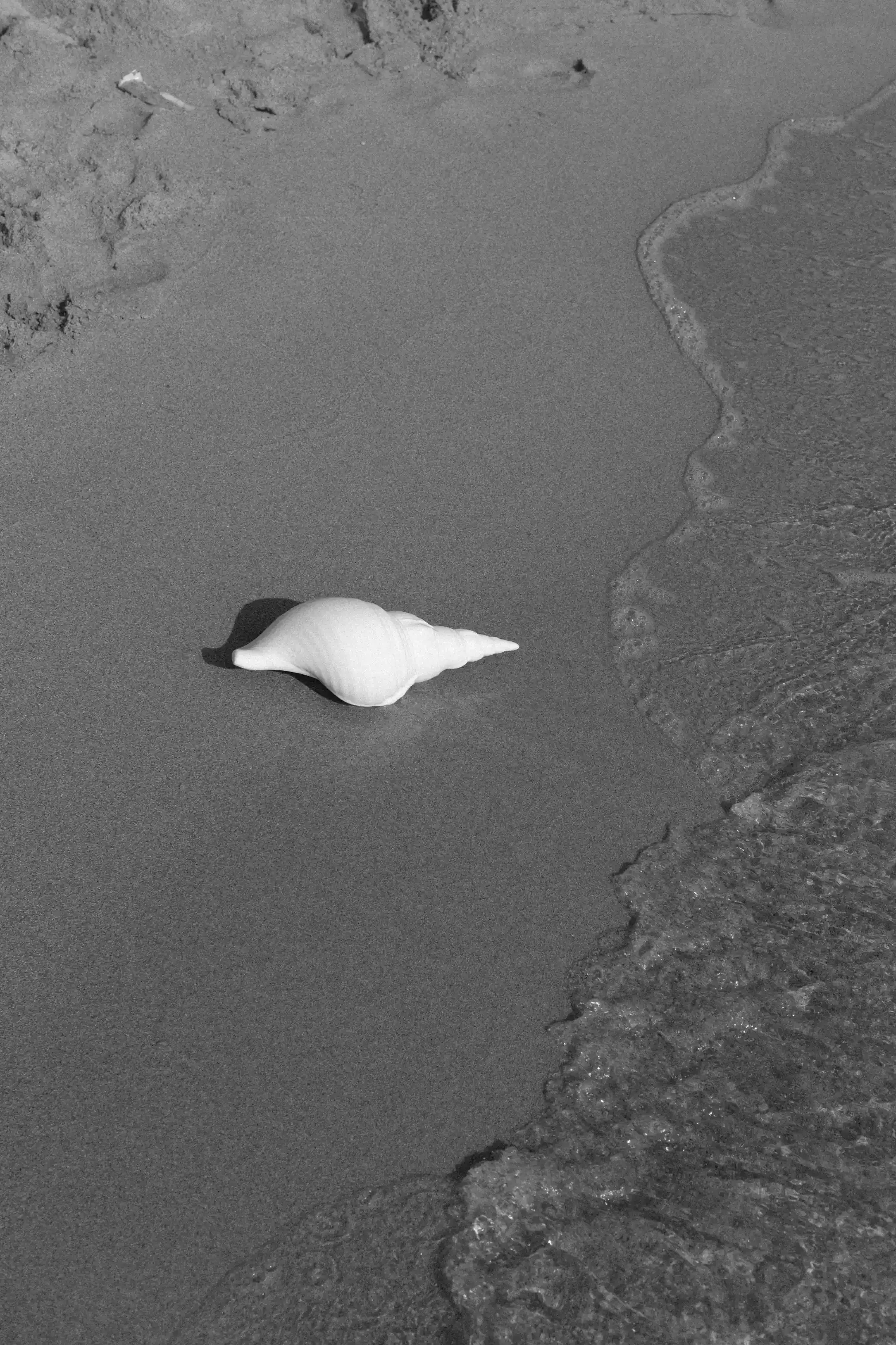 Vue en noir et blanc d'une plage avec une conque en coquillage sur le sable et des vagues qui s'écrasent sur le rivage.