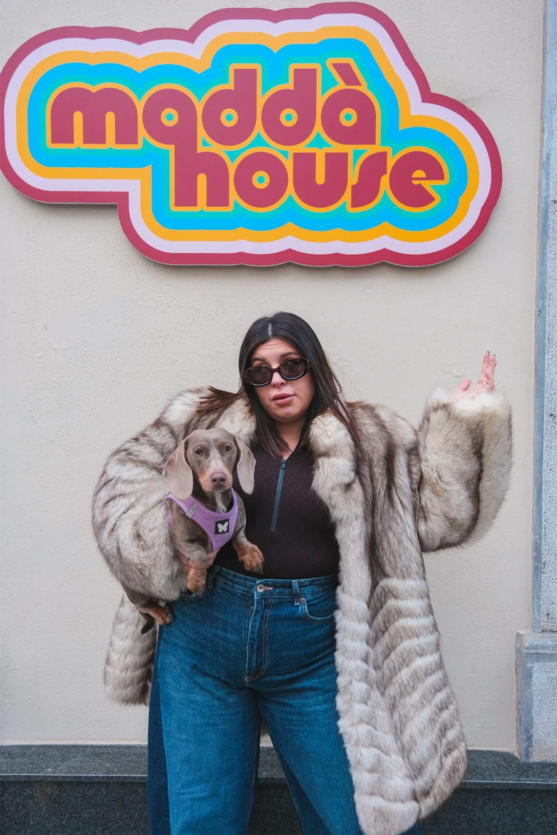 Une femme portant des lunettes de soleil, une veste en fourrure et un jean, tenant un petit chien avec un harnais violet, devant un panneau coloré avec l'inscription « madda house ».