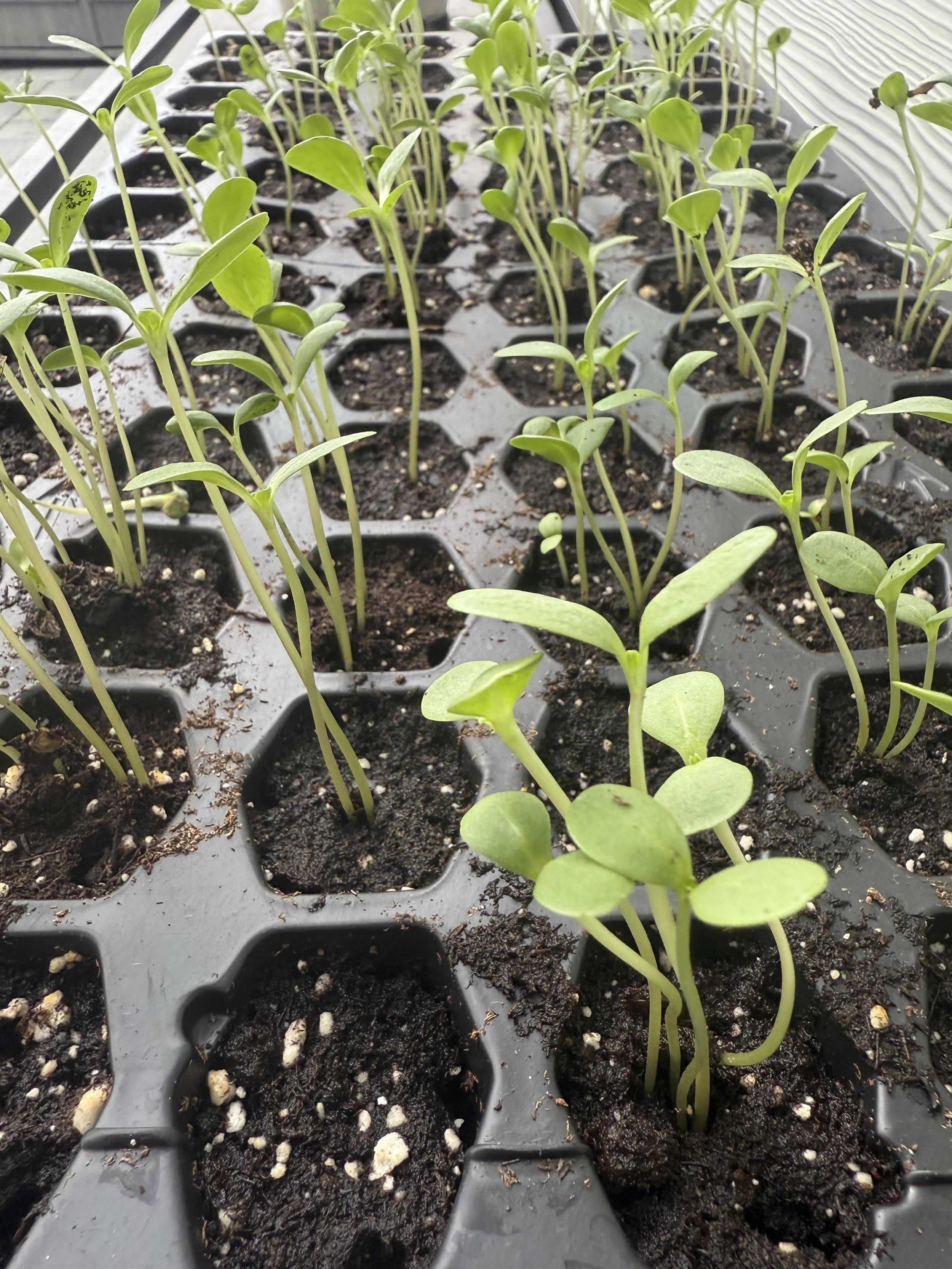 Leadership &amp; Growth Lessons from a Decade in Credit Union Marketing and Community Engagement