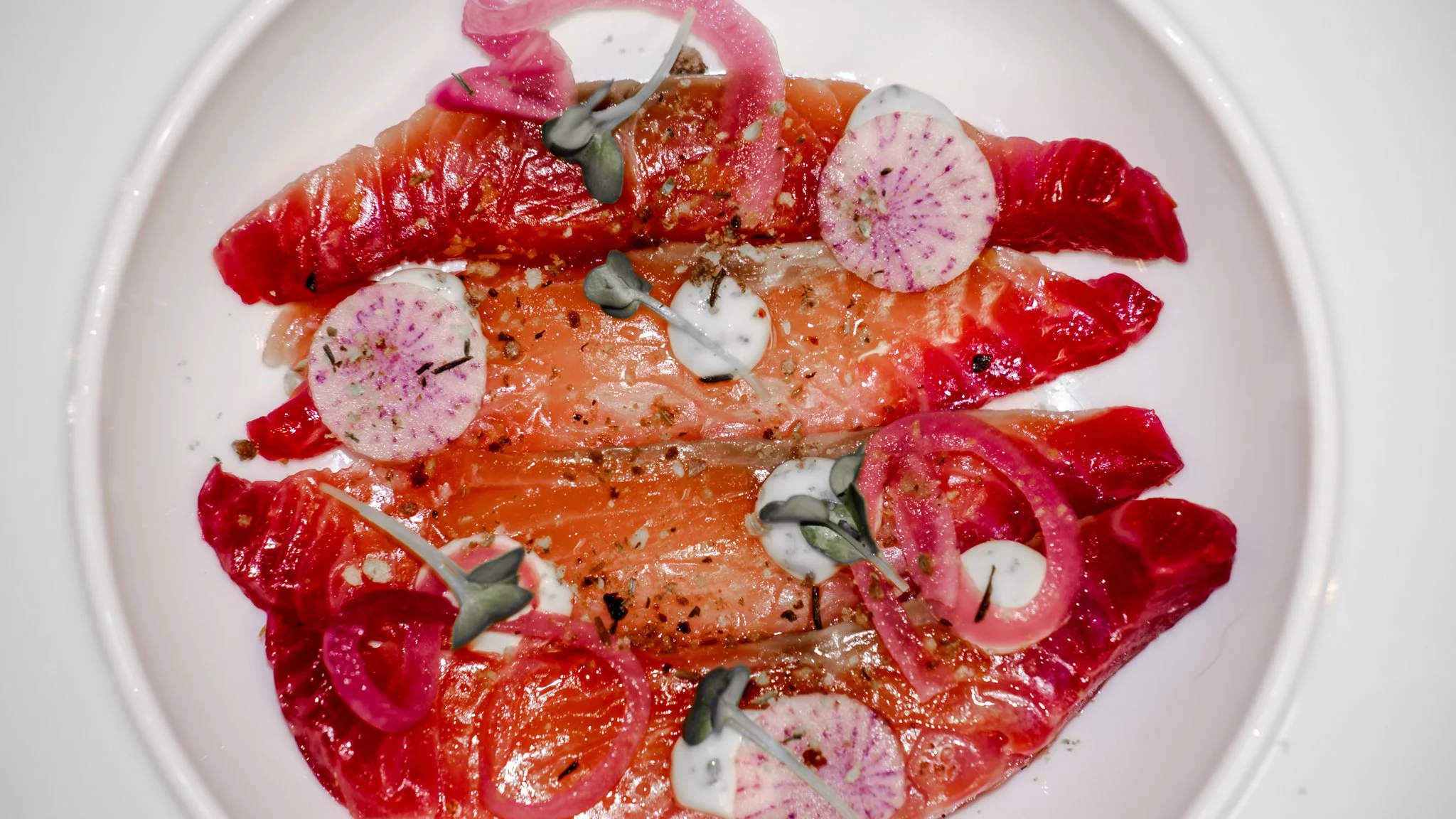 Salmon slices with radish, pink onion rings, microgreens and creamy sauce on a white plate.