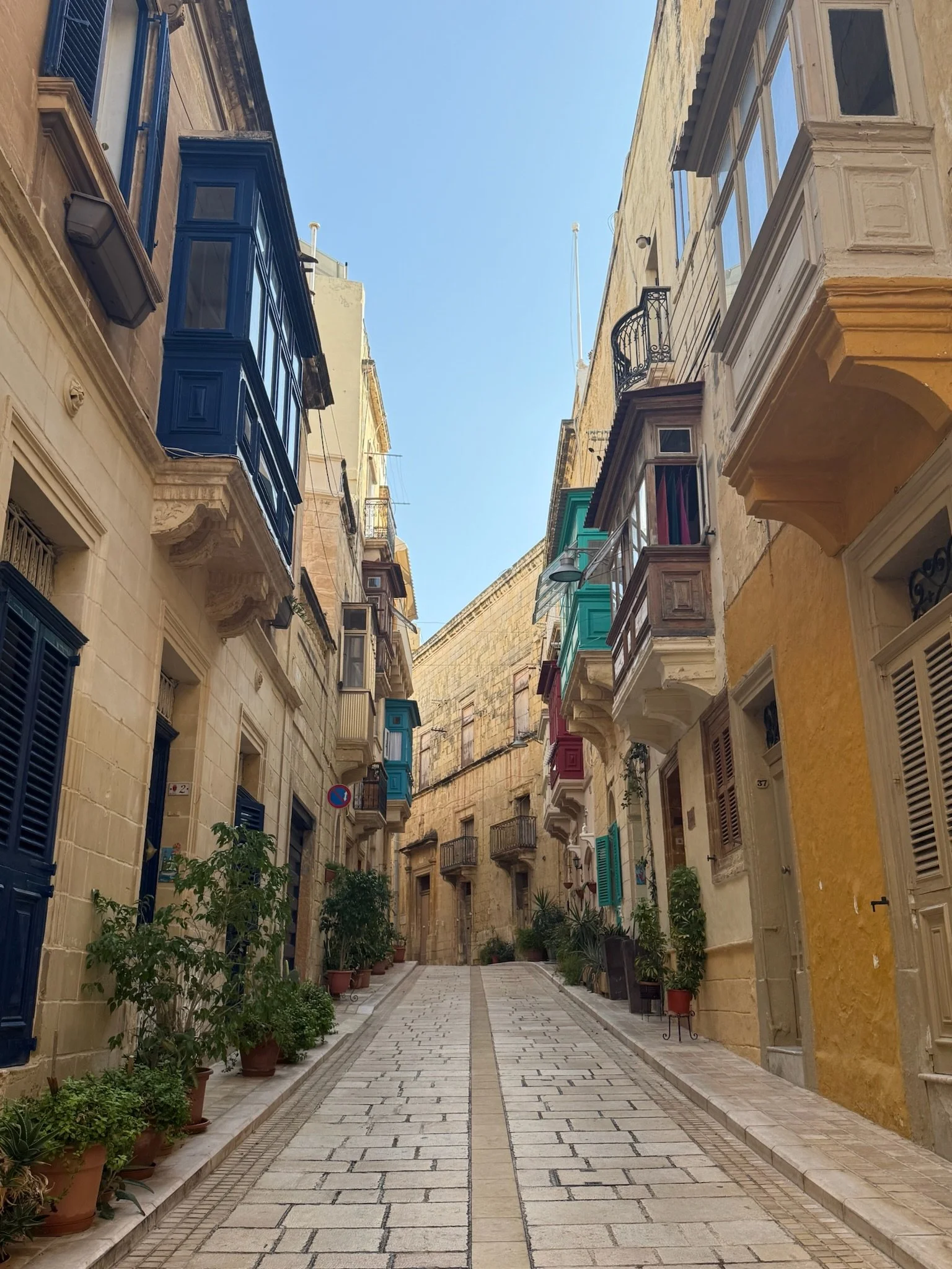 Road houses on both sides.JPG