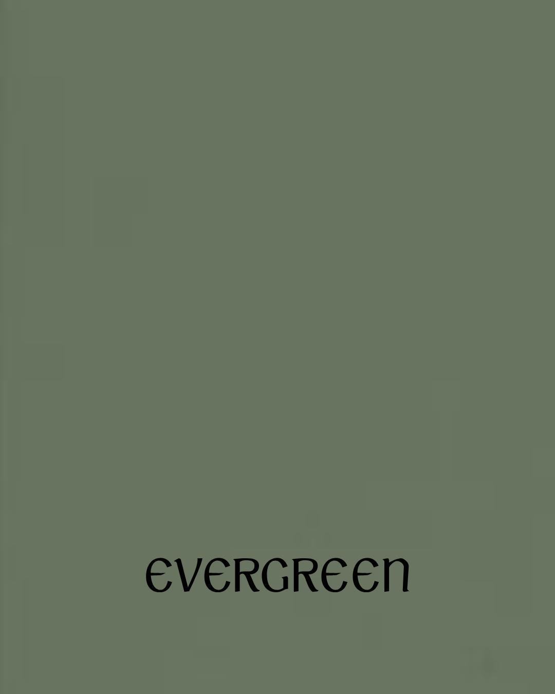 Green poster with the word 'evergreen' written in black at the bottom.