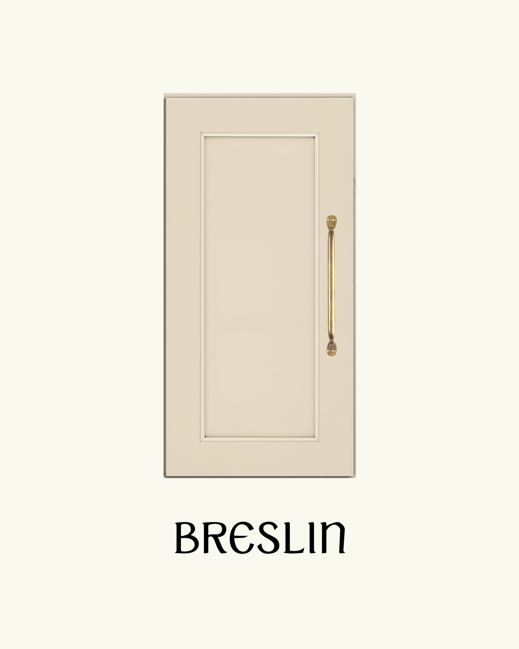 CABINET DOOR BRESLIN