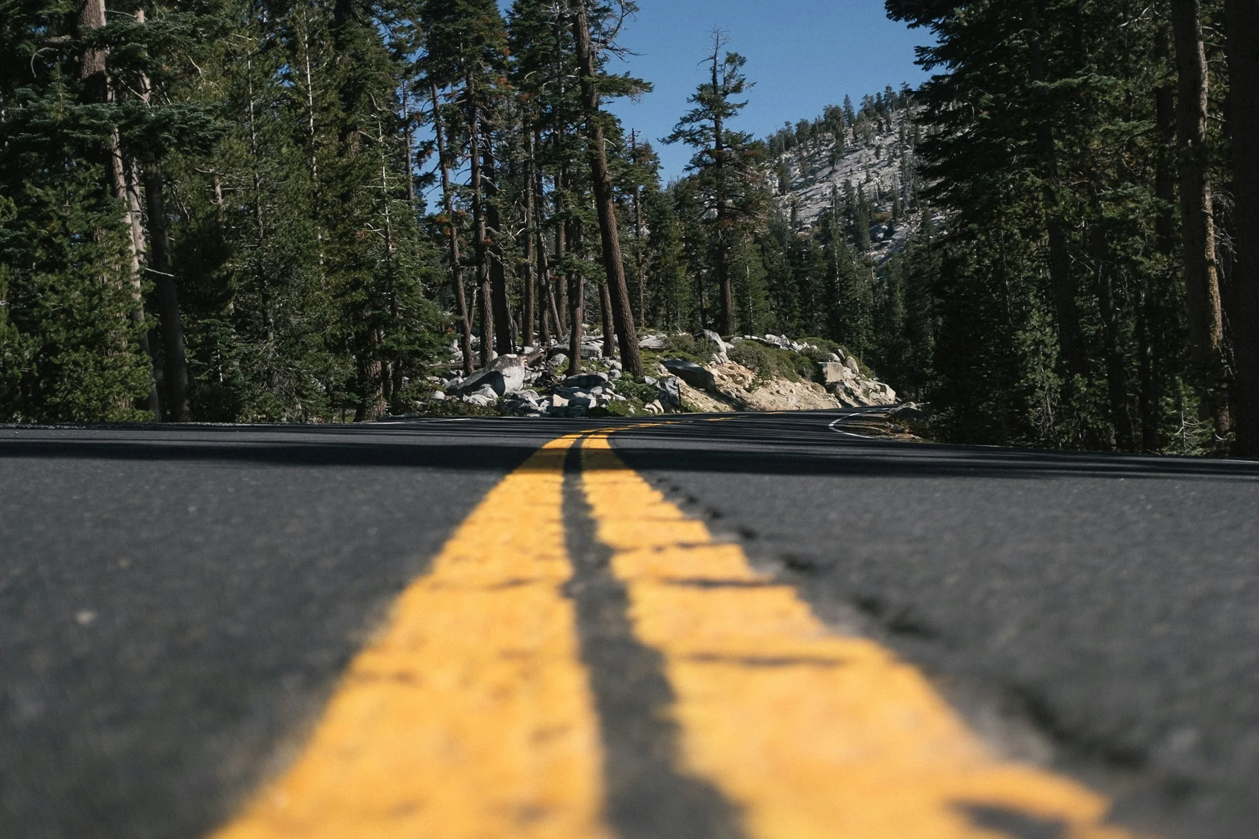 A road going through the forest. The camera sits on the yellow line in the centre