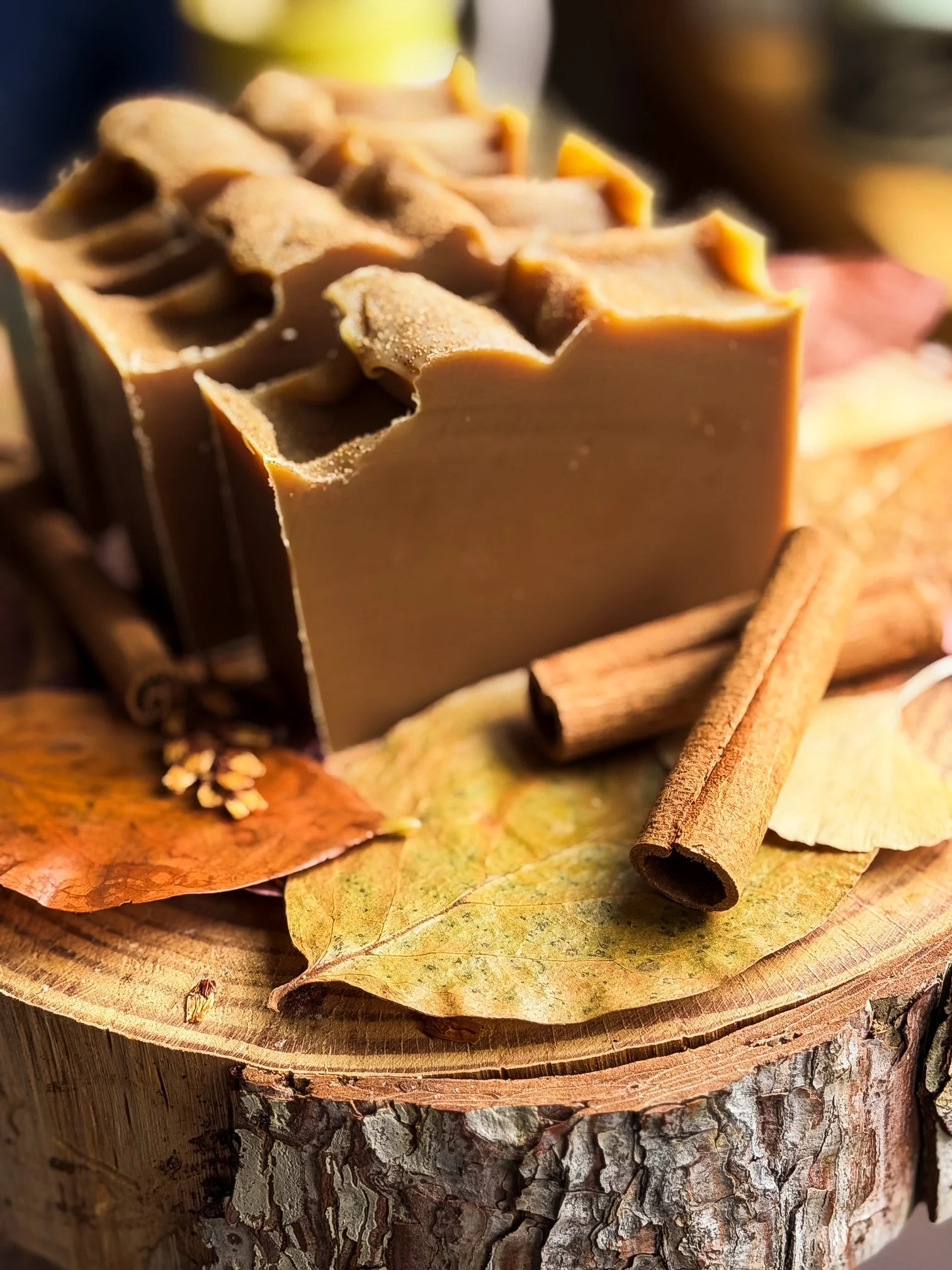 IMG_0505.JPG