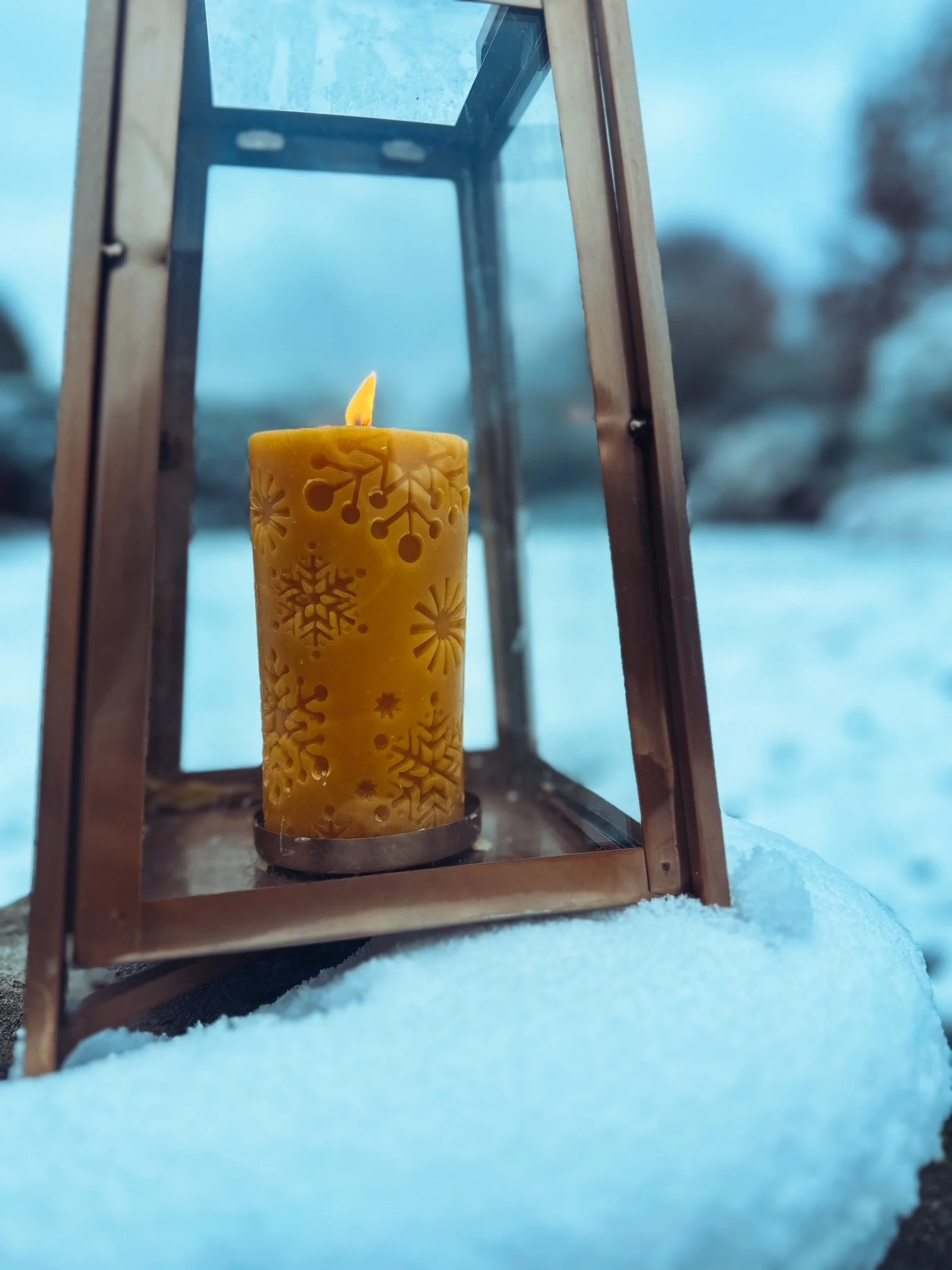 IMG_1162_jpg (1).JPG