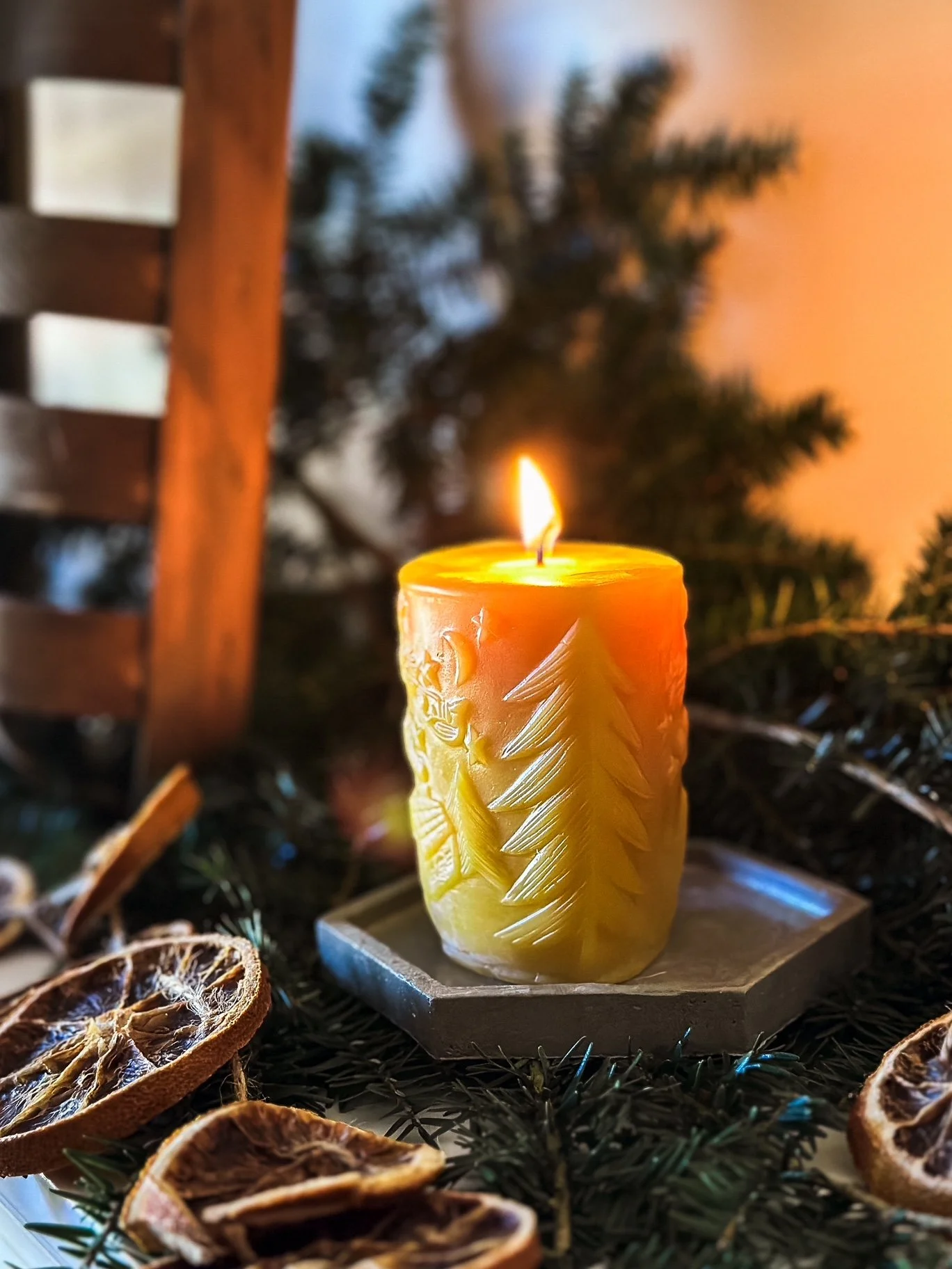 IMG_3452_jpg (1).JPG