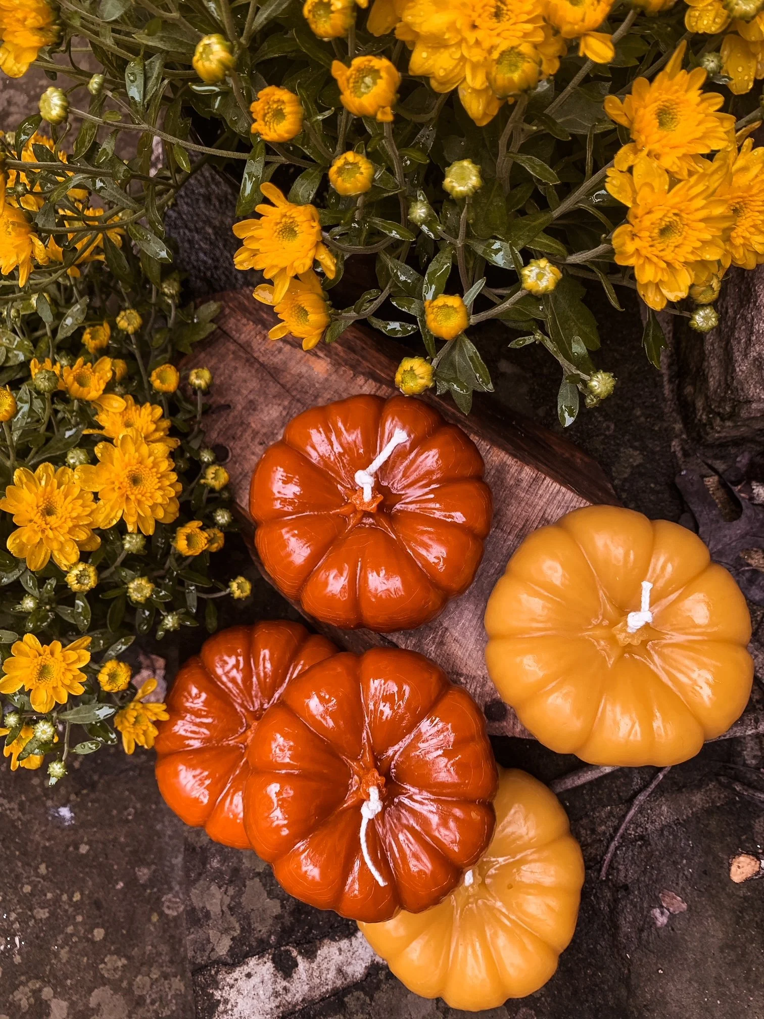 Beeswax Pumpkin Candle
