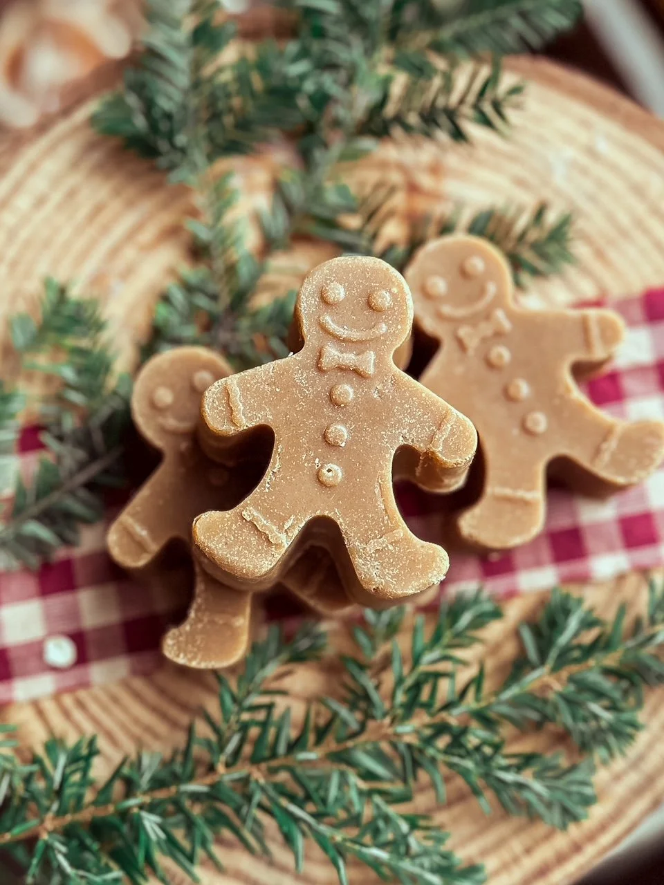 IMG_8896_jpg (1).JPG