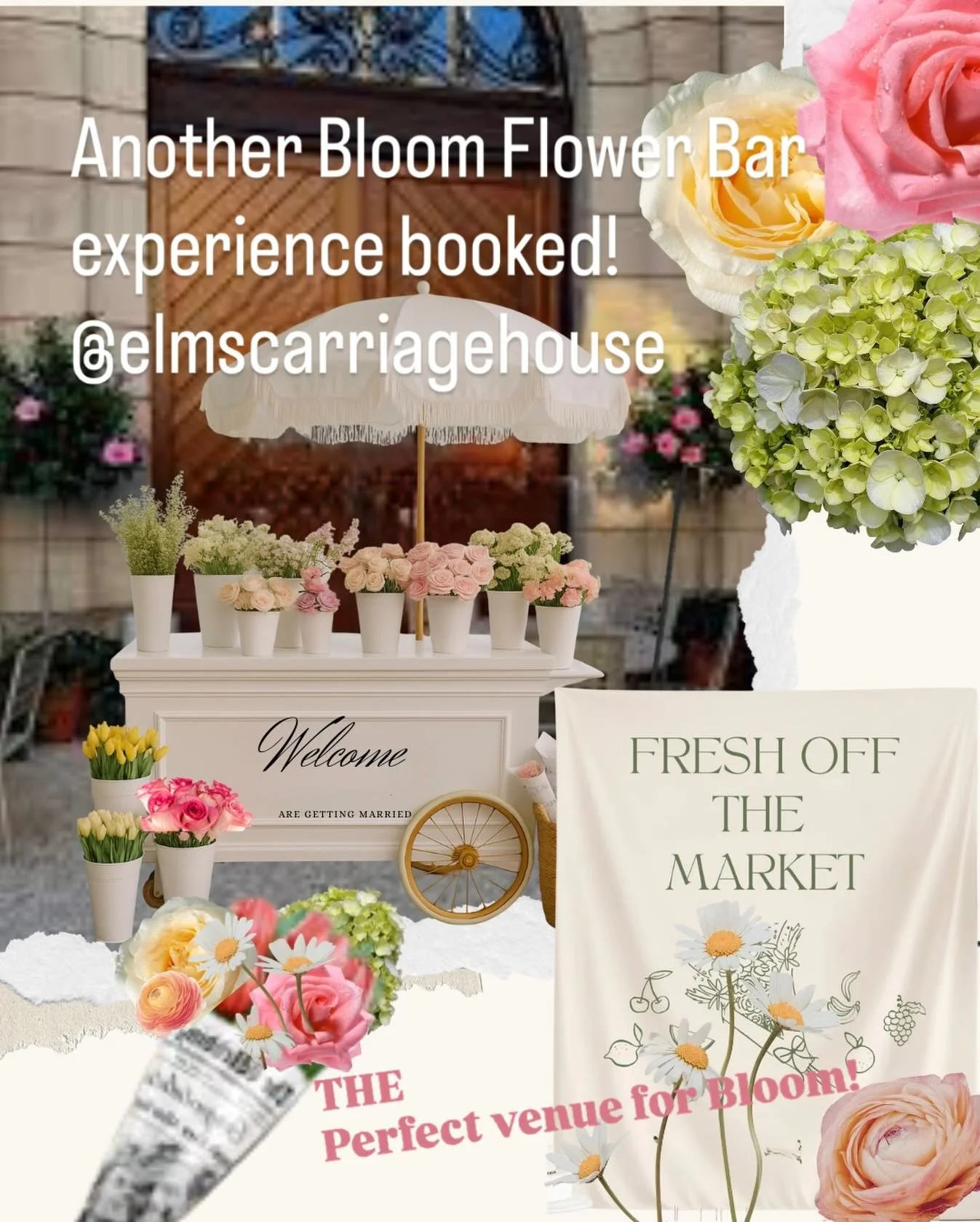 Booked ✨ Fresh Off the Market bridal shower at the gorgeous Elms Carriage House in Newport🌸Spring weekends are officially filling up and I am sooo excited to bring this vision to life