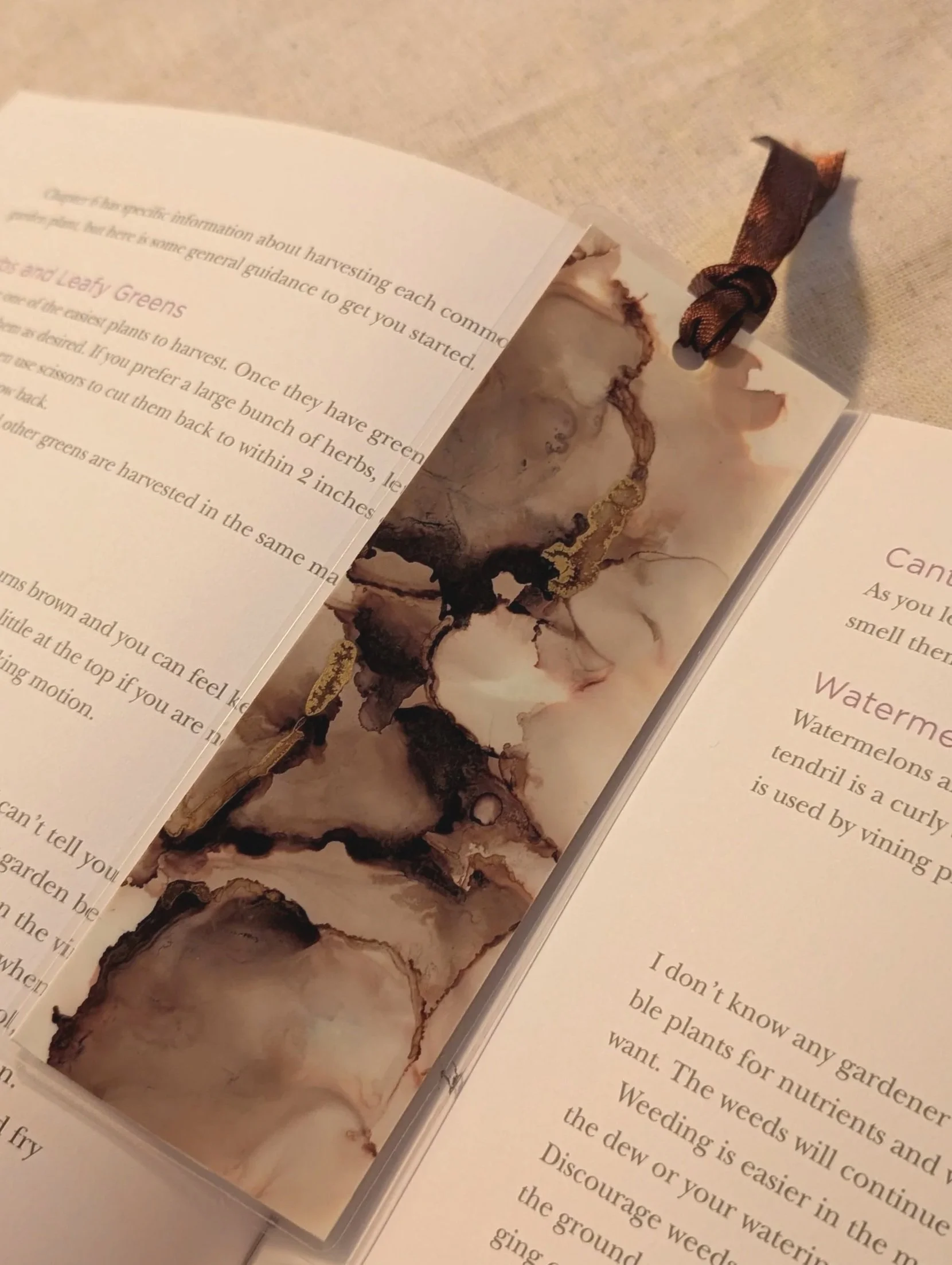 PXL_20261020_231224311.PORTRAIT.ORIGINAL.jpg