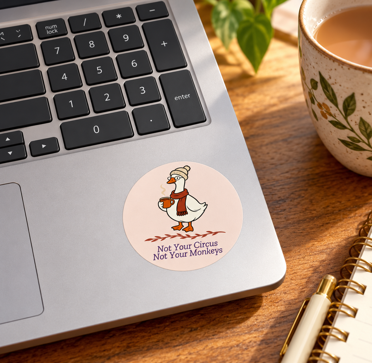 Cozy Duck Sticker on Silver Laptop-1.png