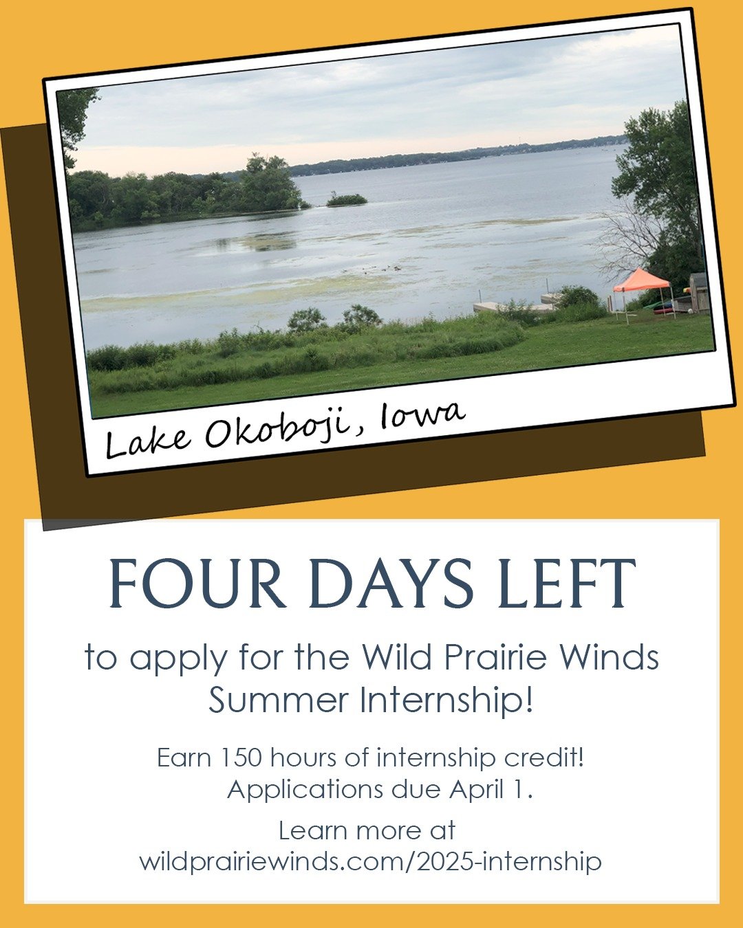 Just four days left to apply for our Summer Internship opportunity! Have you sent in your resume yet? 🔥

Visit our website at wildprairiewinds.com/2025-internship or the top pinned post on our profile for more information! We can't wait to work with