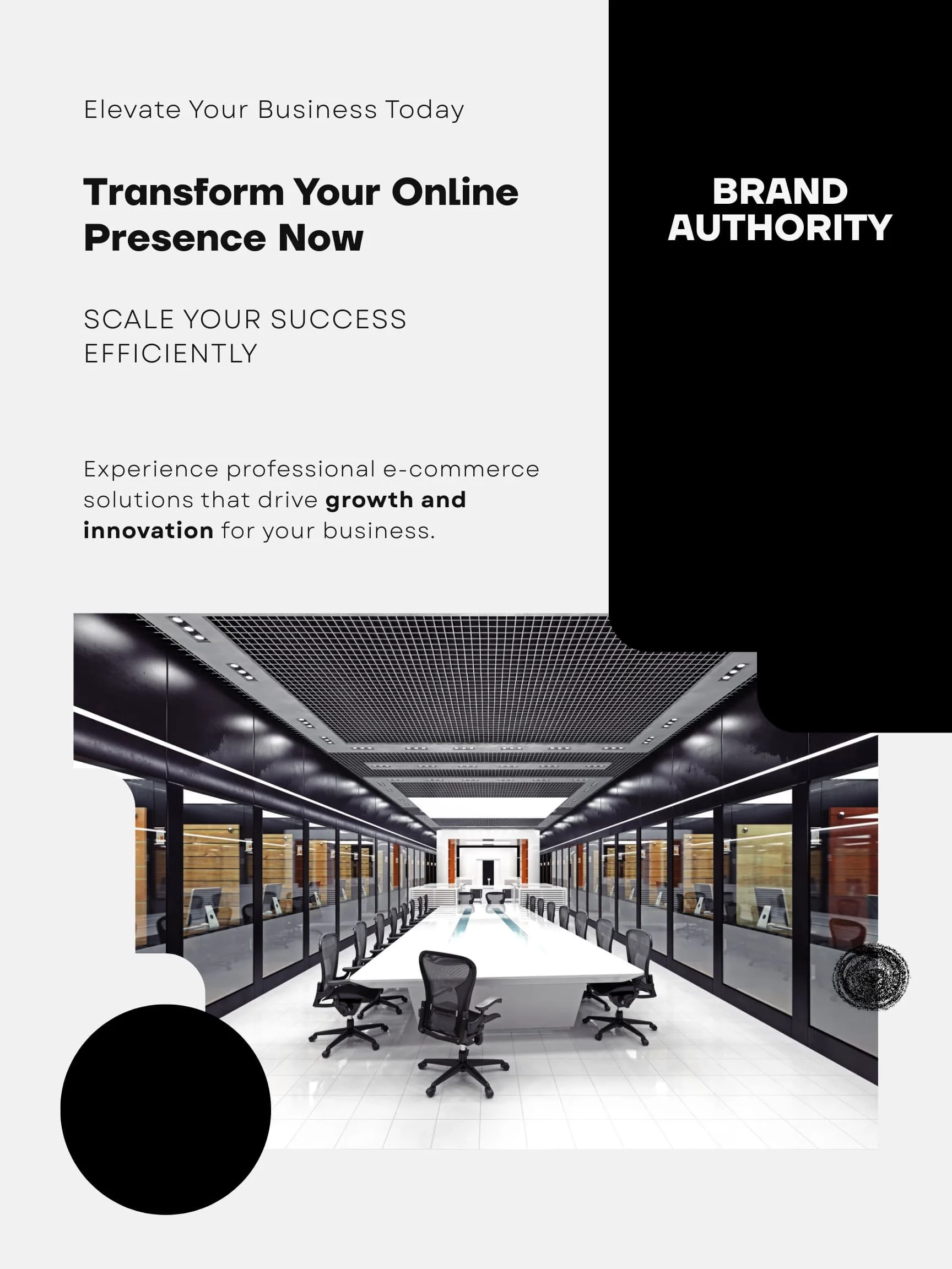 Flyer for Brand Authority