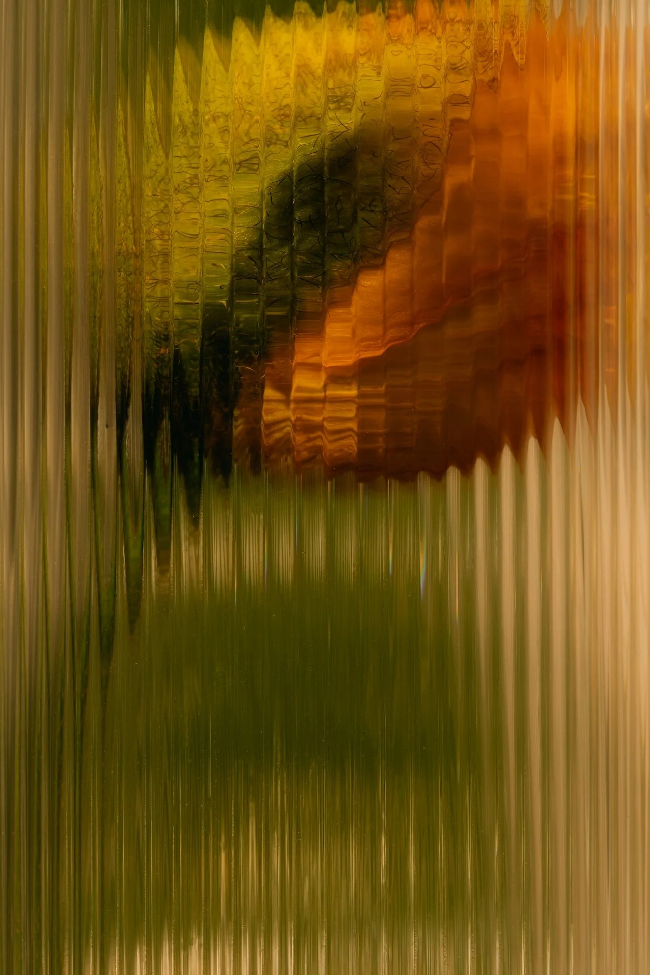DTS_Daniel_Farò_In_Focus_043 (1).jpg