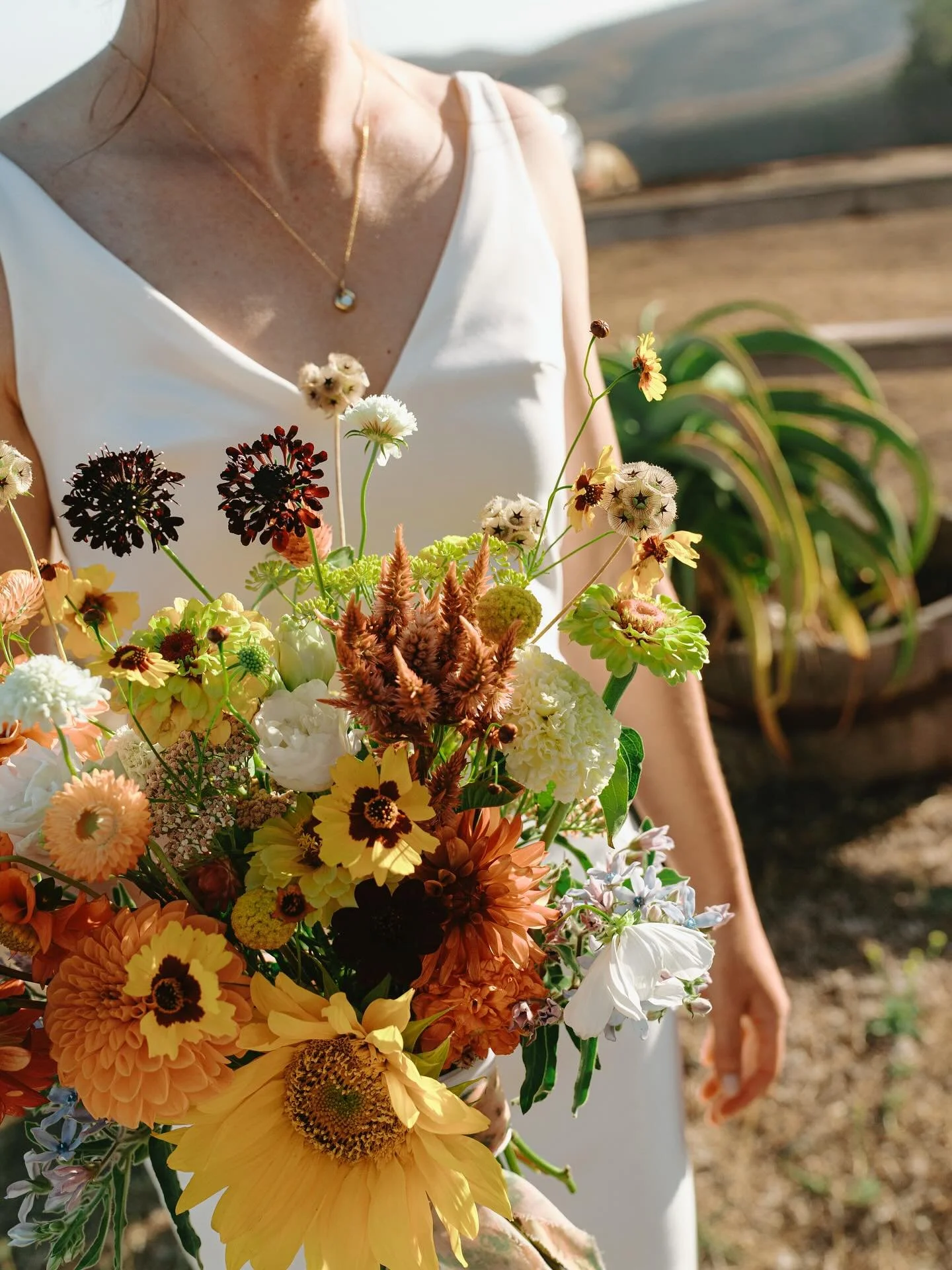 When the wedding is literal perfection&hellip; I will never be over Hayley &amp; Mike&rsquo;s incredible wedding!

Thank you @hgbarnacles for letting me hangout with you all during your bestest day! 🫶🏼 You are the most wonderful souls! 

Vendors Te