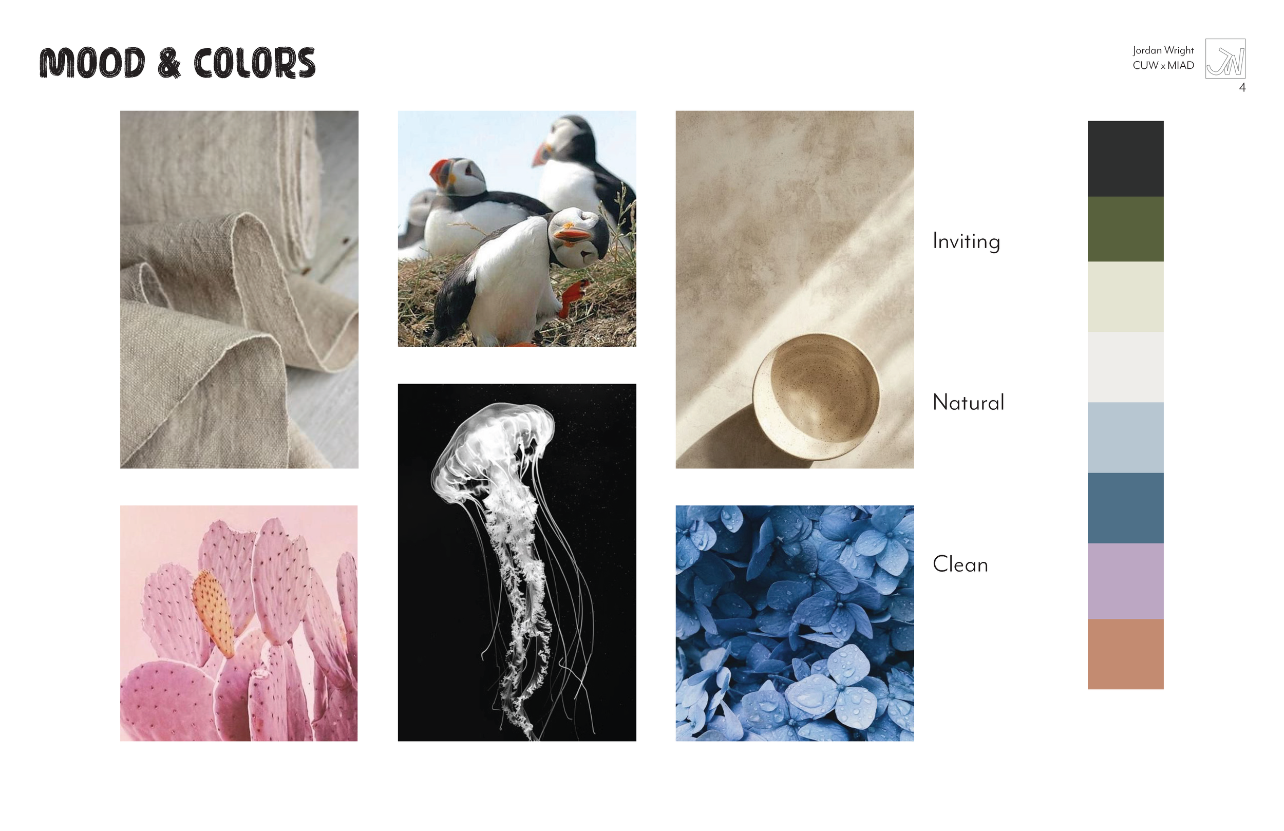 A collage of six images showcasing natural textures, animals, and colors with a color palette on the right labeled as Inviting, Natural, and Clean.